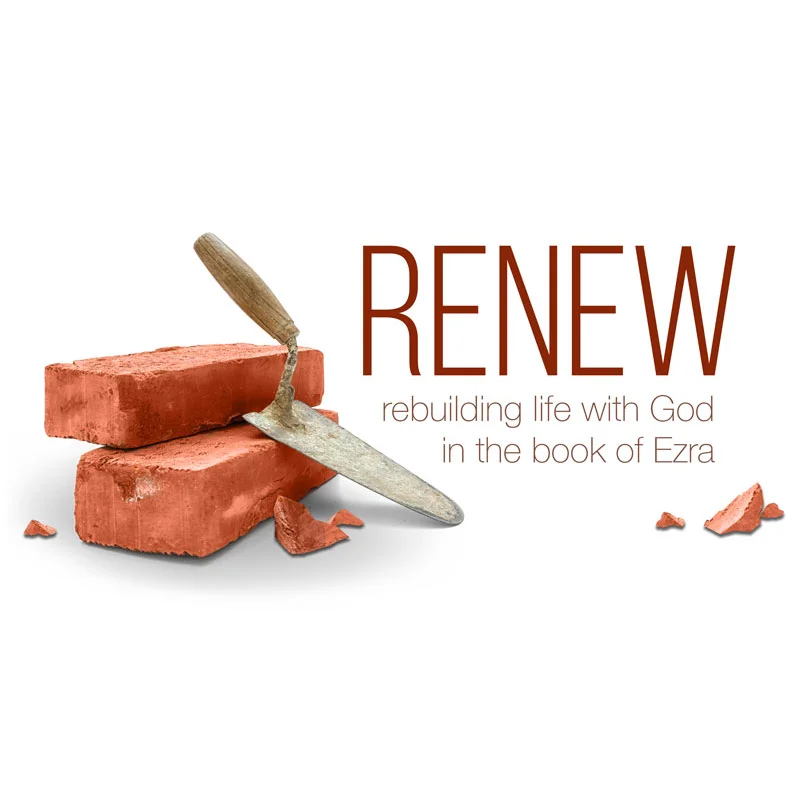 A Better Renewal is Coming