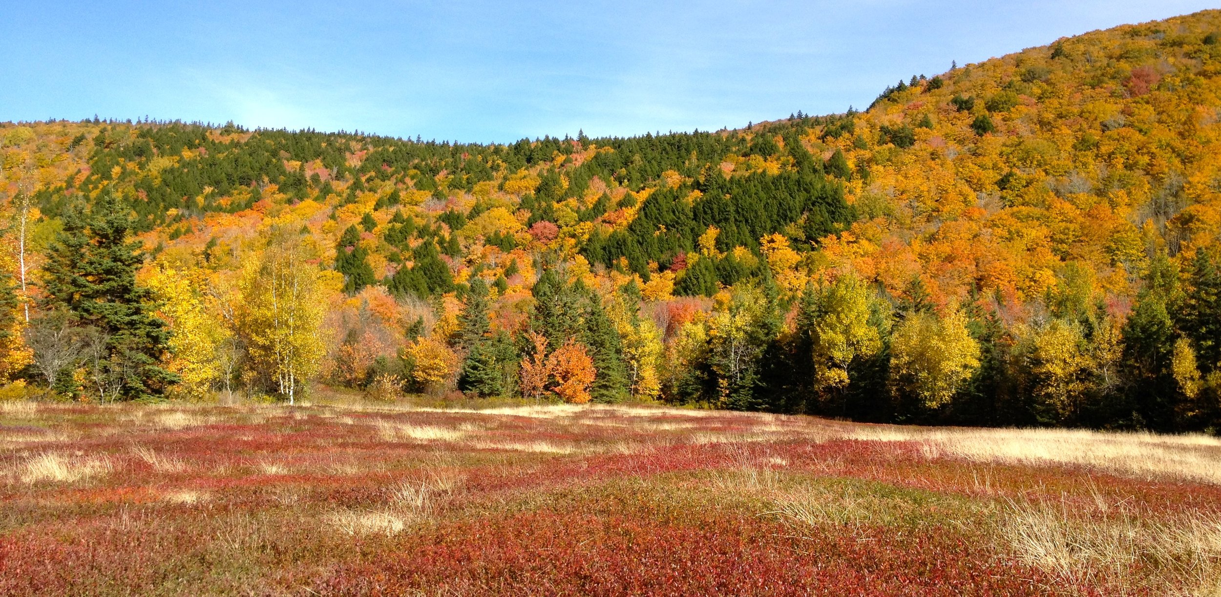 CobequidMountains.jpeg