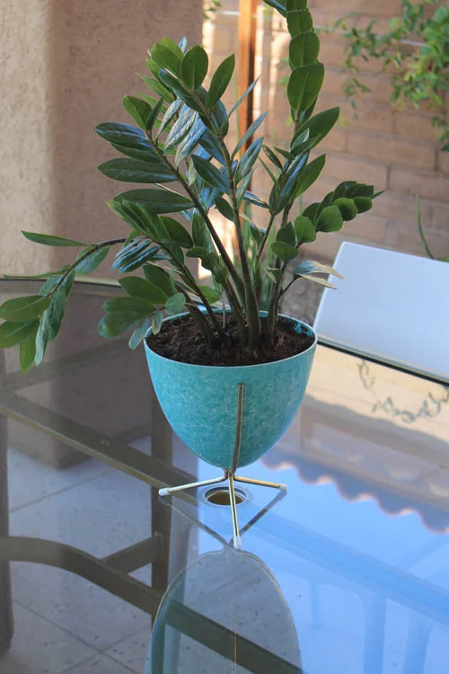 PrideauxDesign - Modern Landscape Design