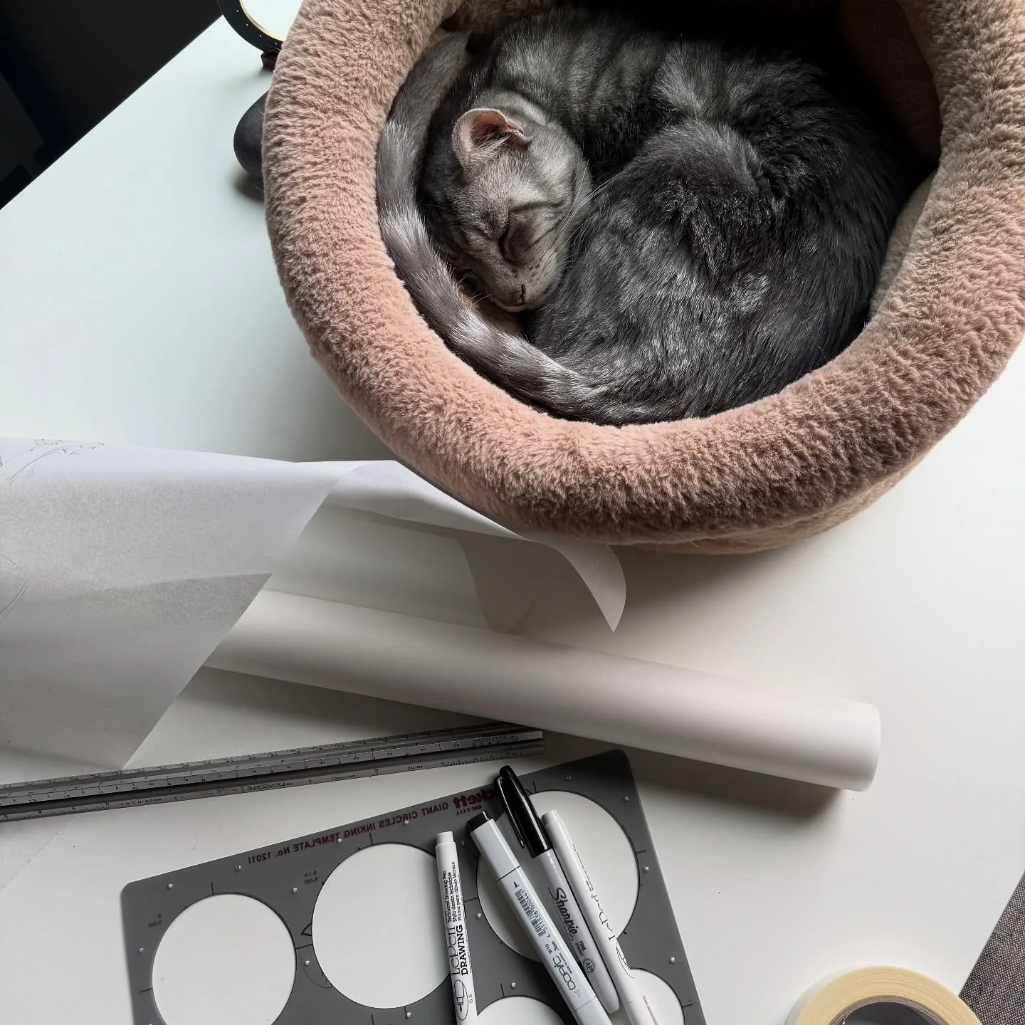 Tiger is 17 years old now - I decided he deserved his own spot on my drafting table where he&rsquo;s always kept me company. He clearly hates it.
