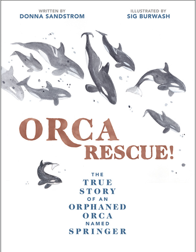 Orca Rescue: The True Story of an Orphaned Orca Named Springer
