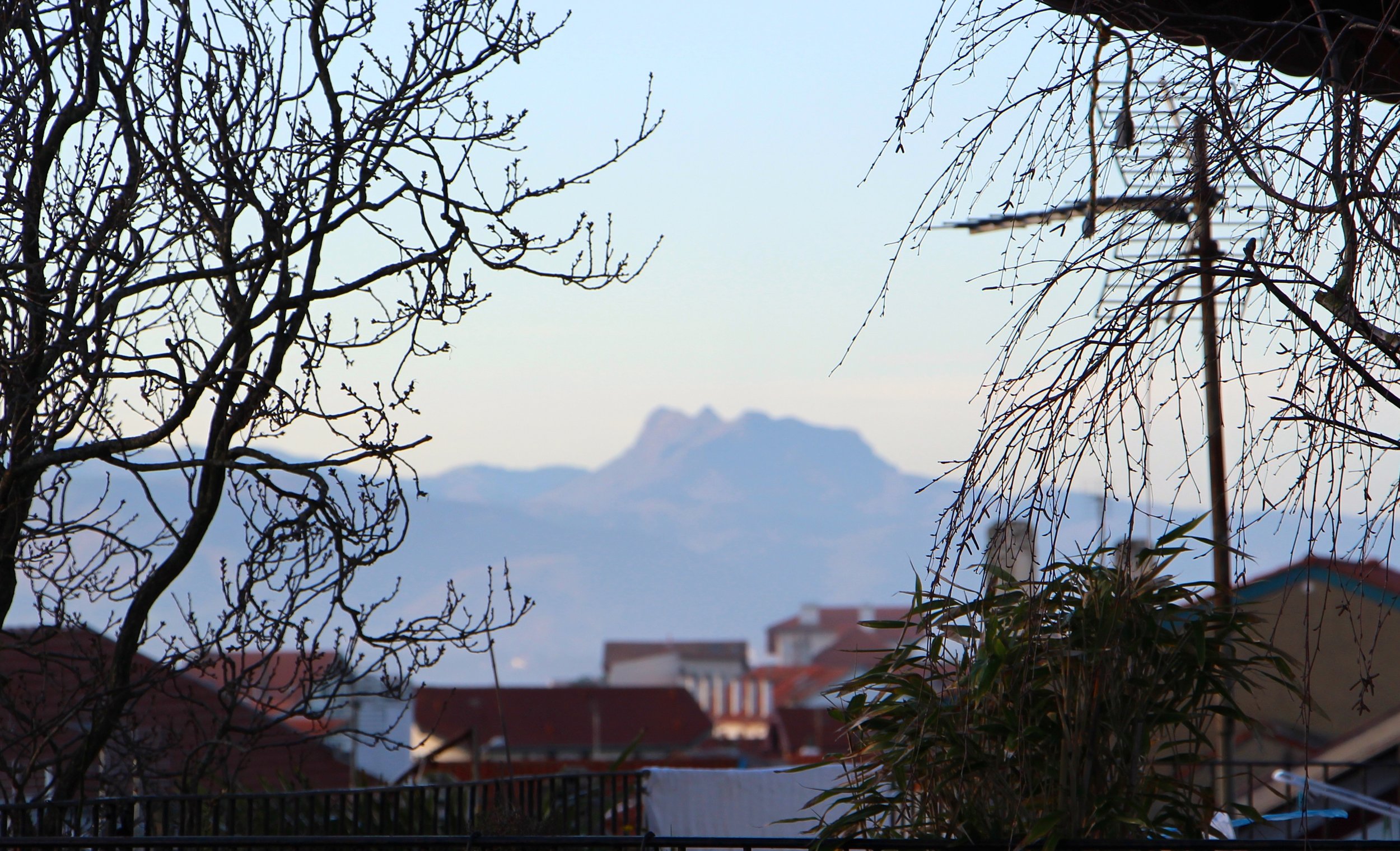 IMG_2514.JPG