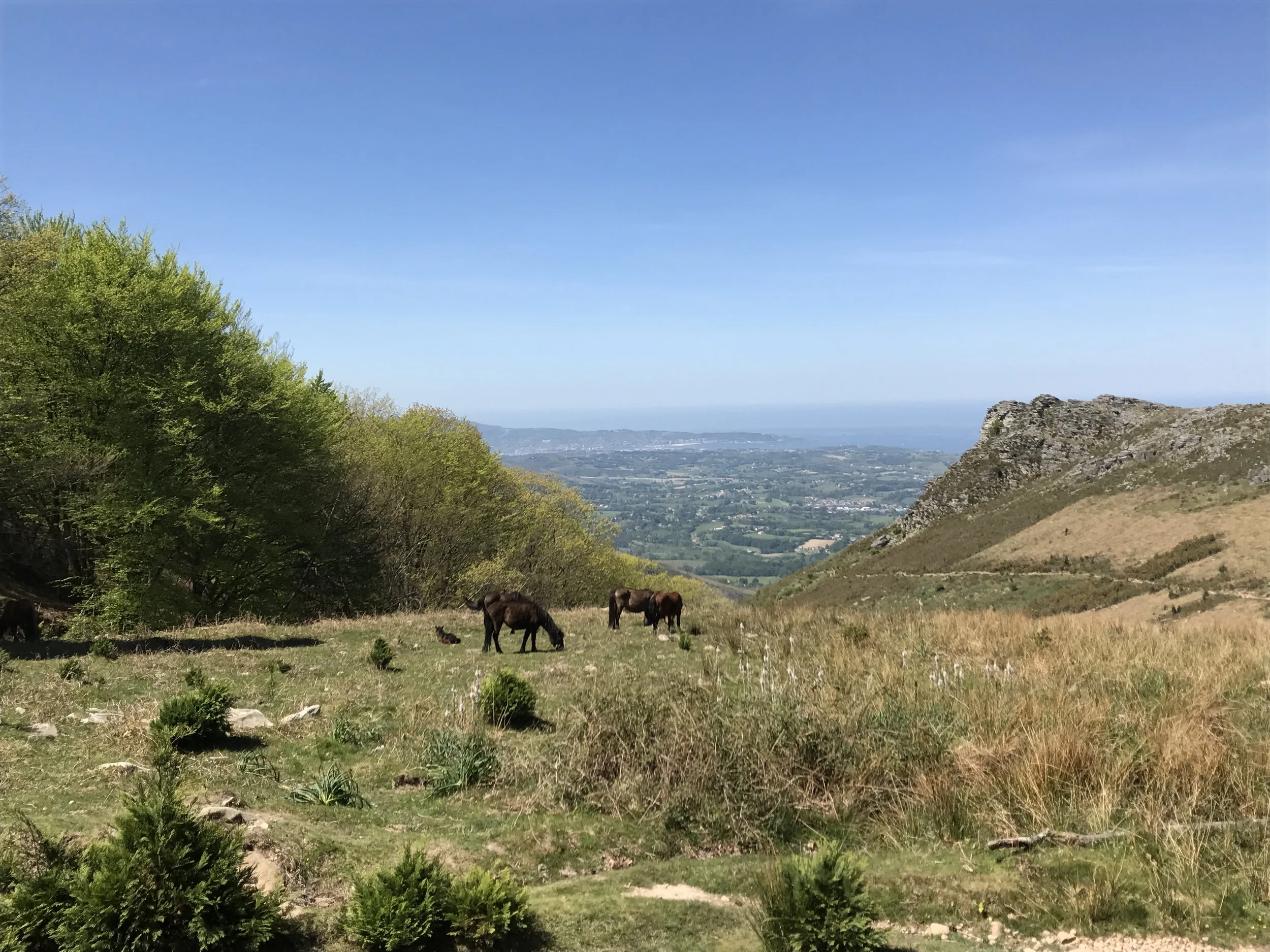 Vue sur le Chemin de la Rhune