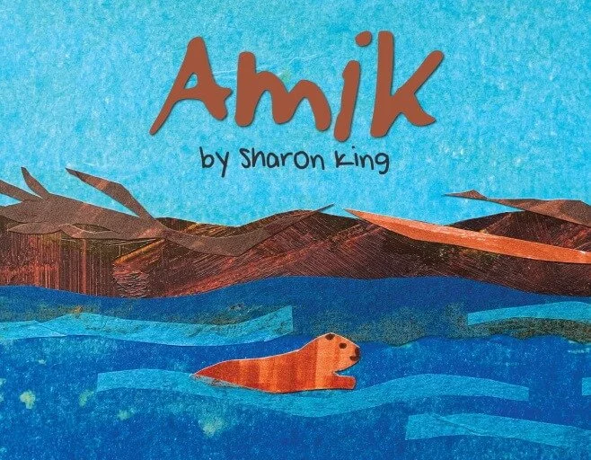 Amik-cover-for-website.jpeg