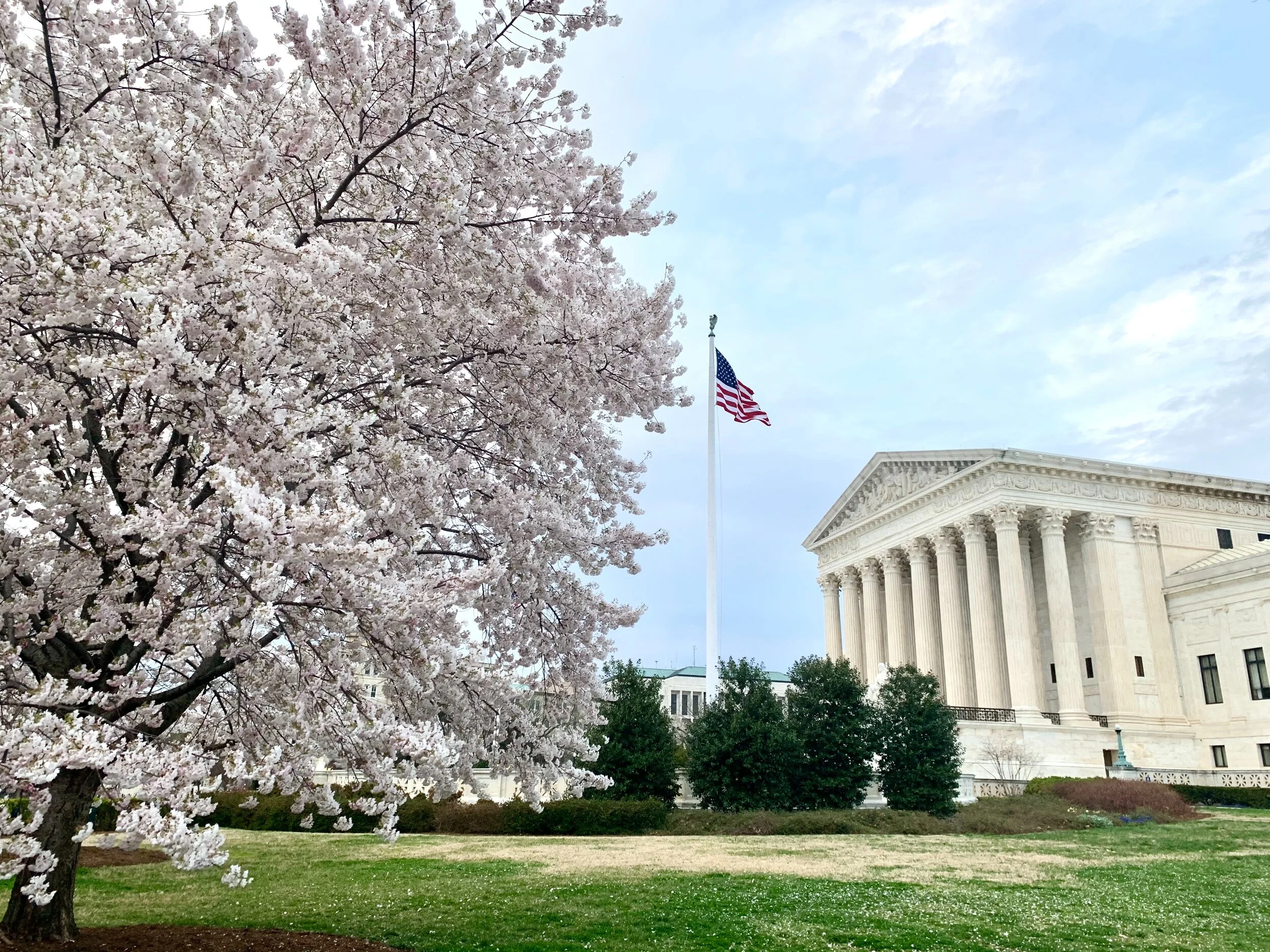 The Zoomification of the Supreme Court and the Rest of "us"