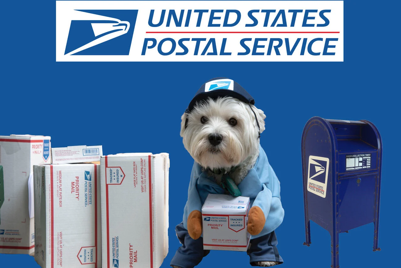 The Most Important Four Letter Word Right Now:  VOTE