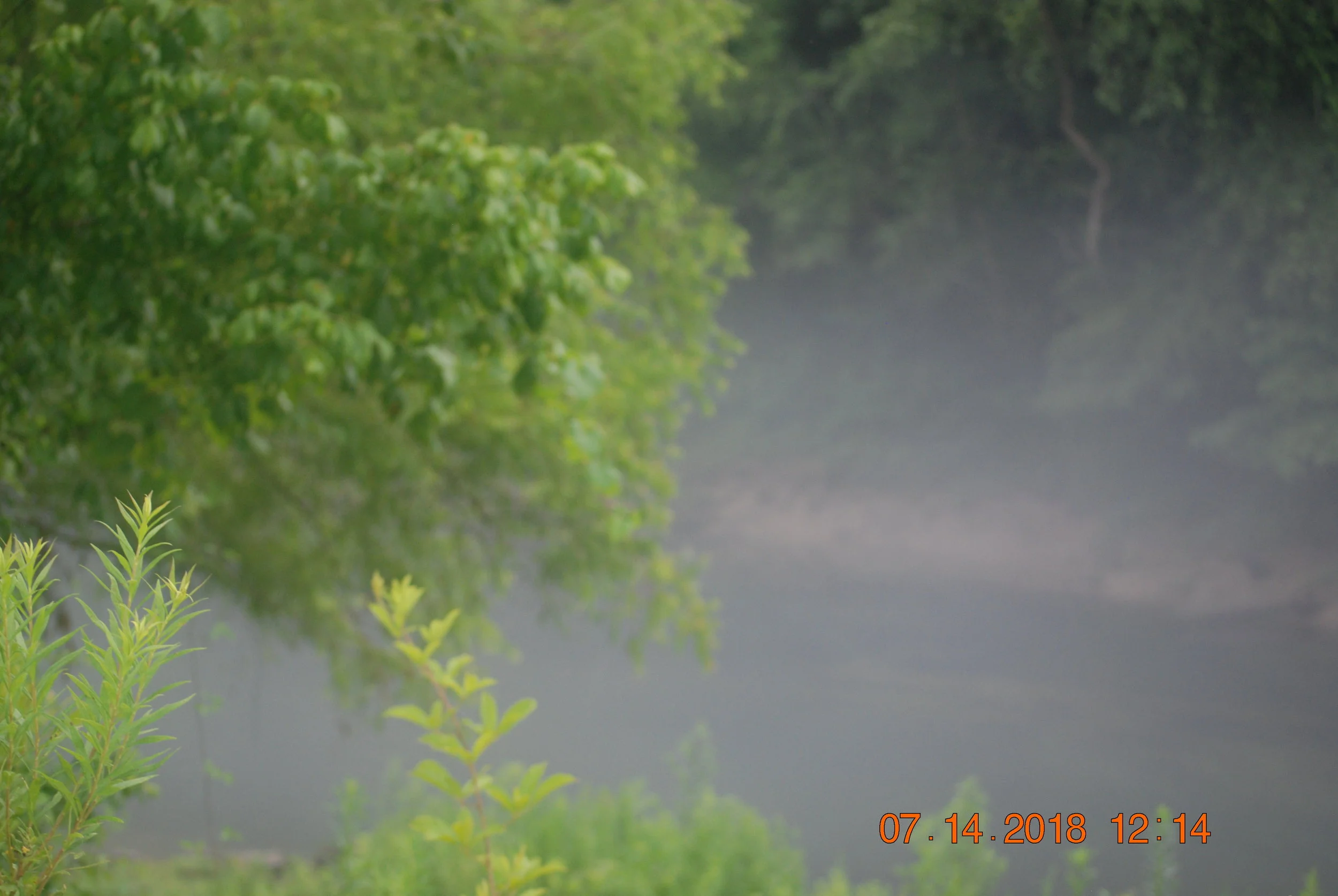 DSC_0039.JPG