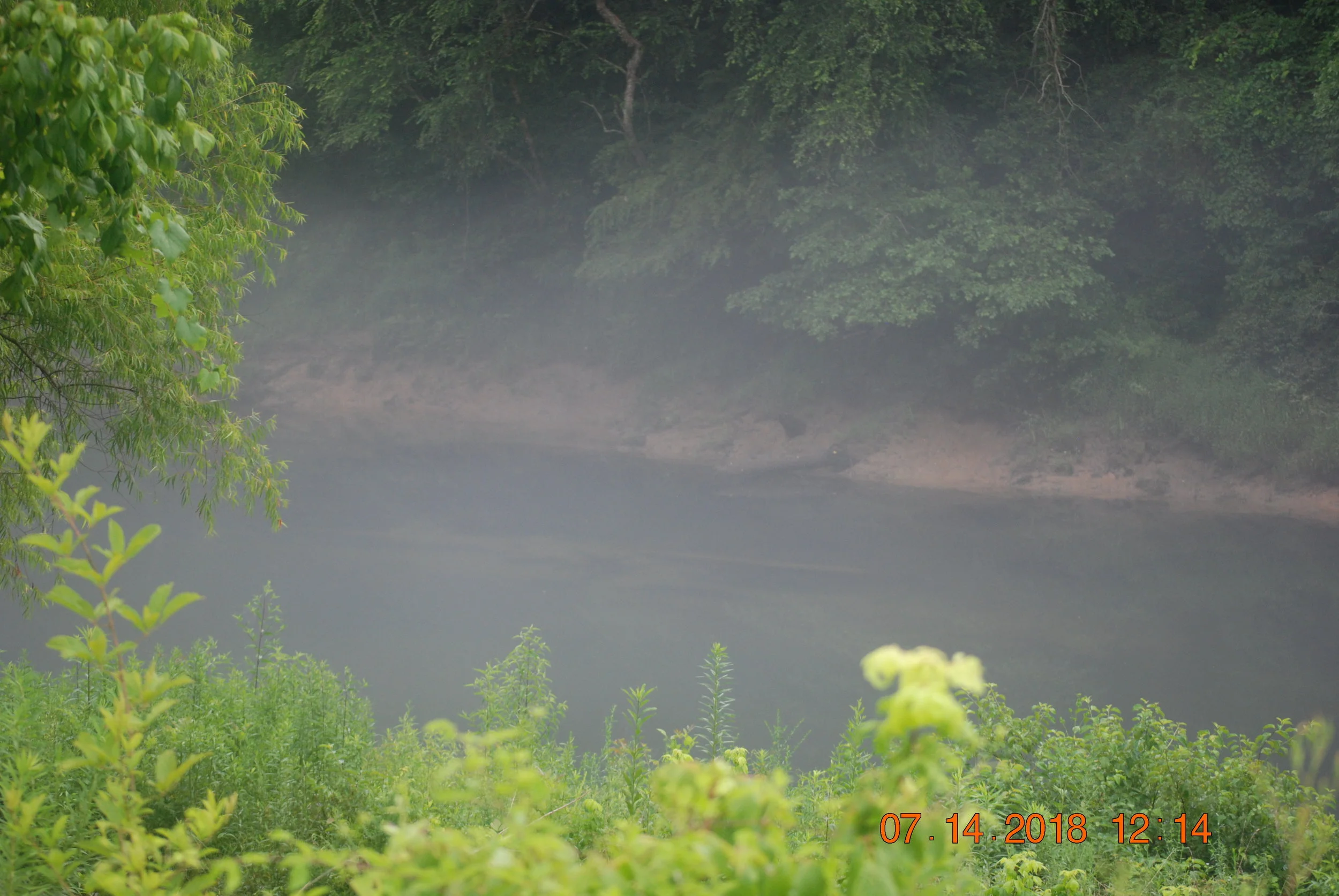 DSC_0041.JPG
