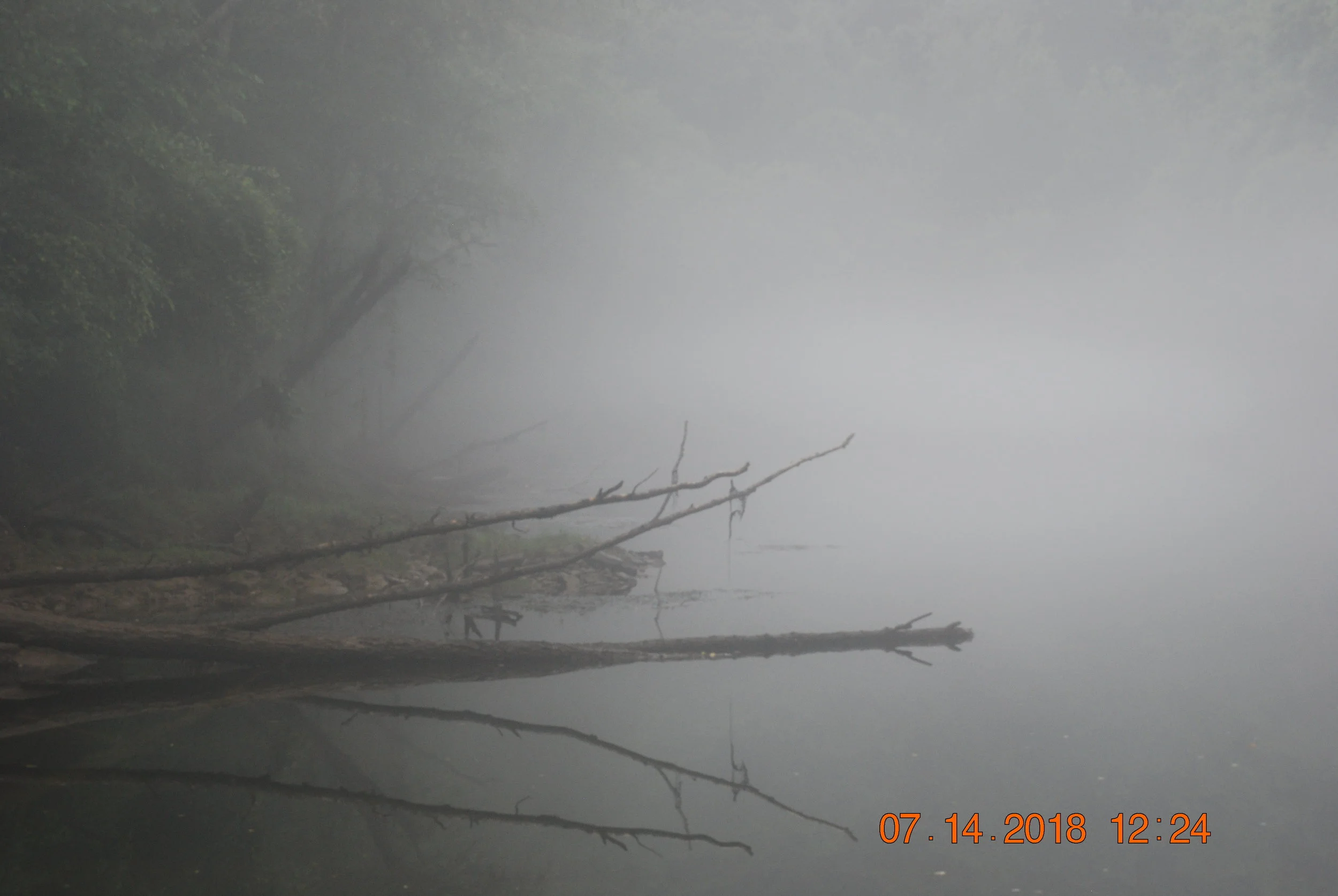 DSC_0055.JPG