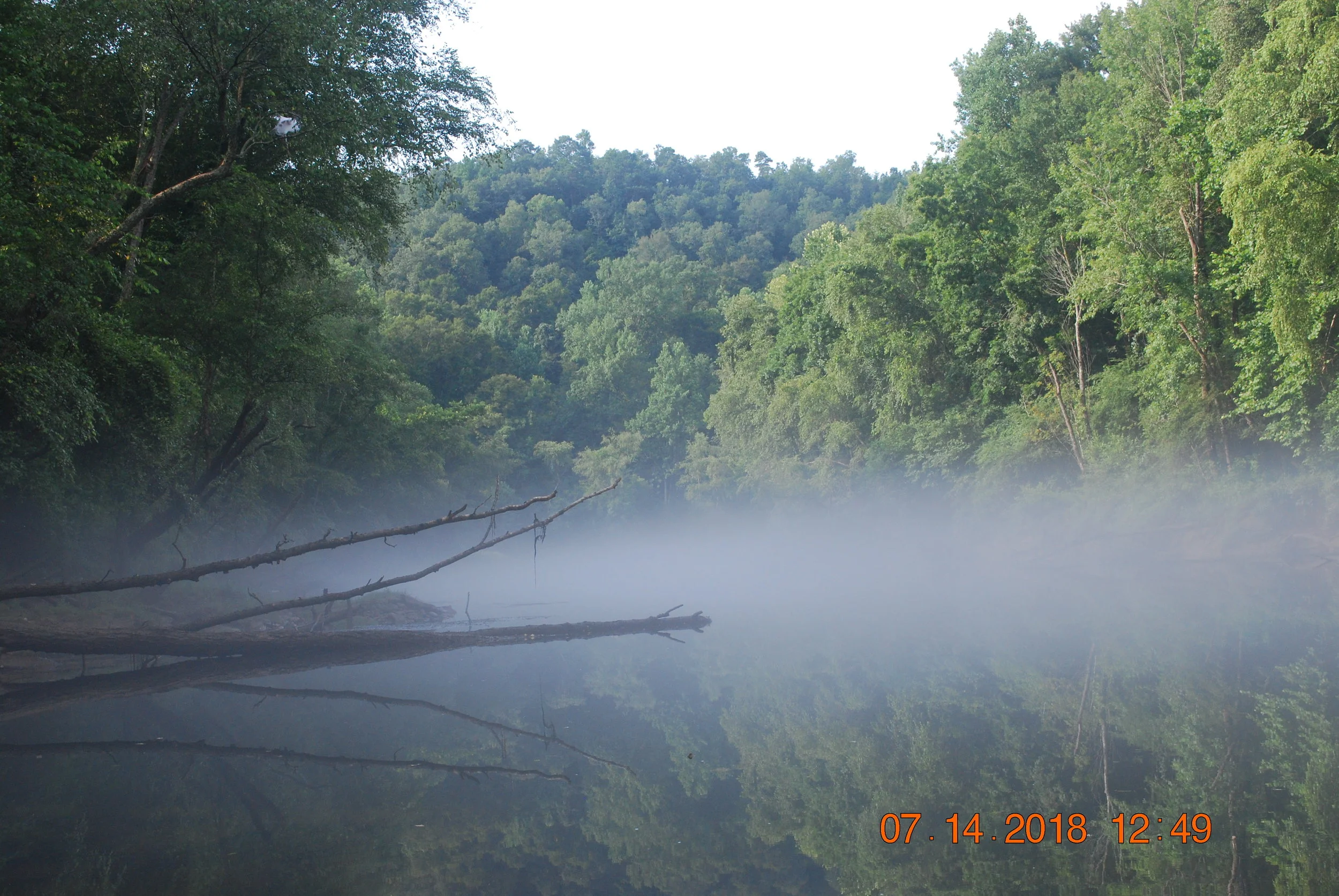 DSC_0065.JPG