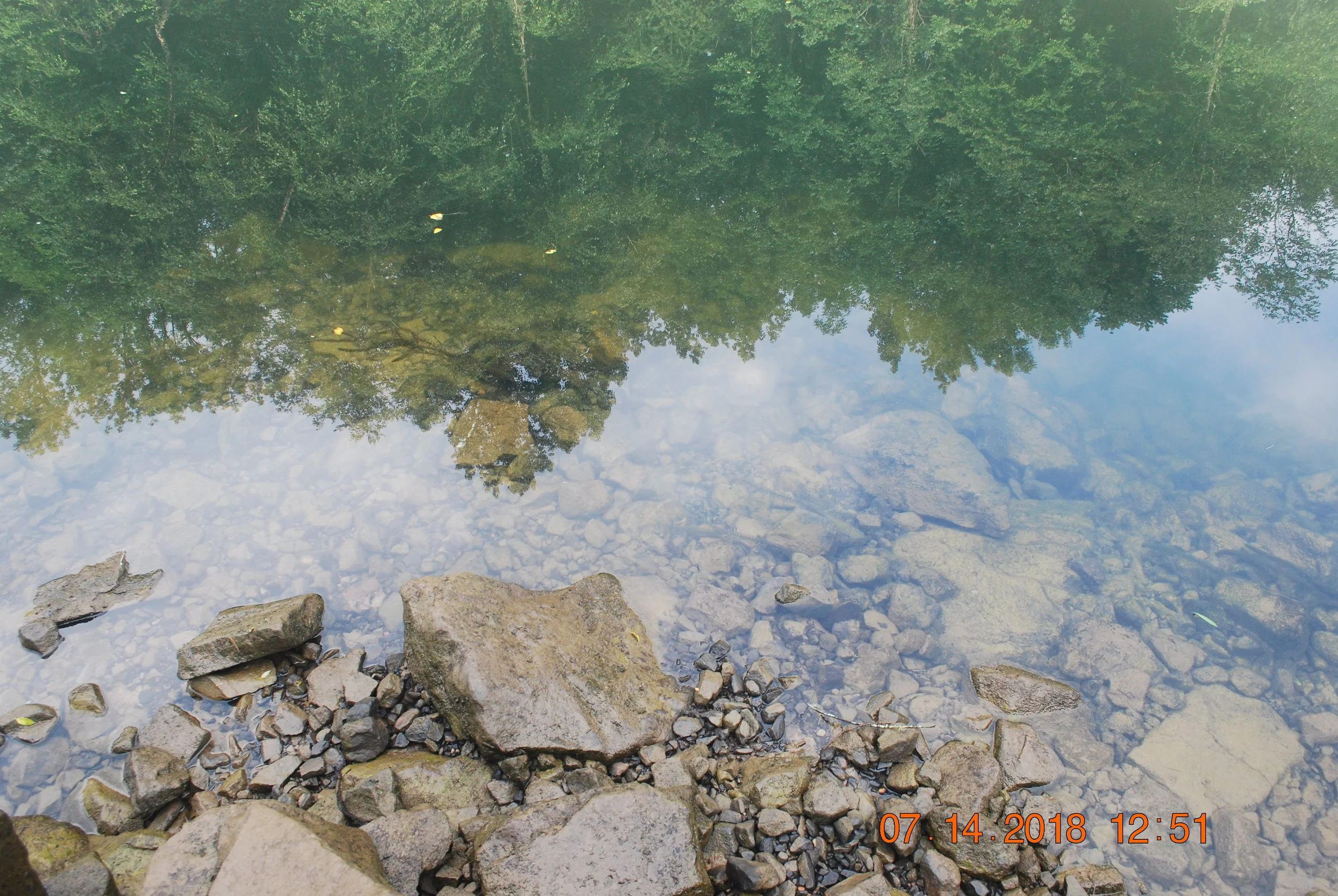 DSC_0074.JPG