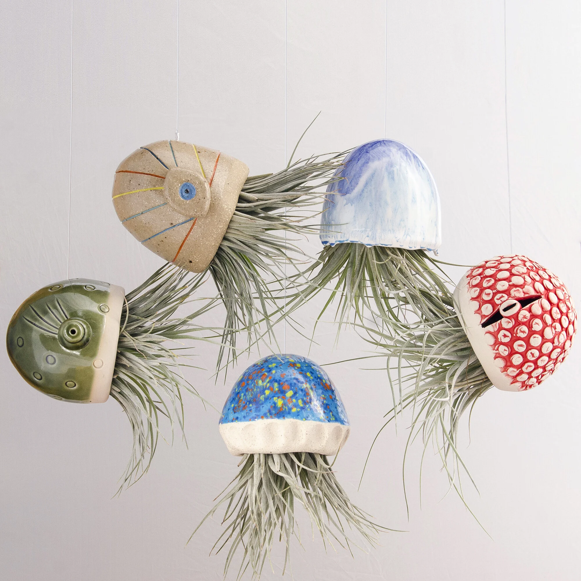 Picture of Jellyfish Air Plant Perth, Western Australia. Handmade Air Plants ...