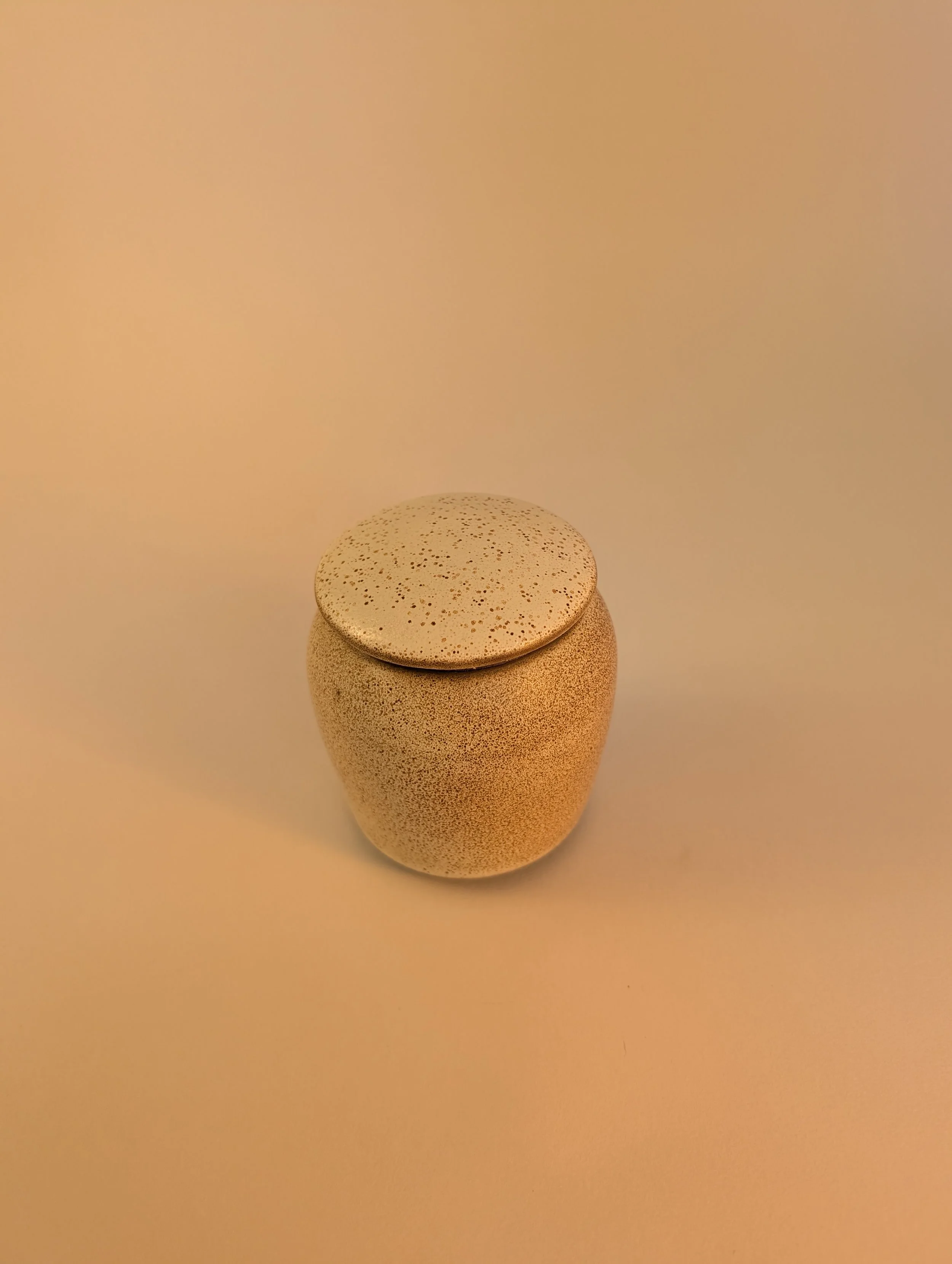 processed_fe7d428ca3224a6aa37c71bb874fb1e6.jpeg