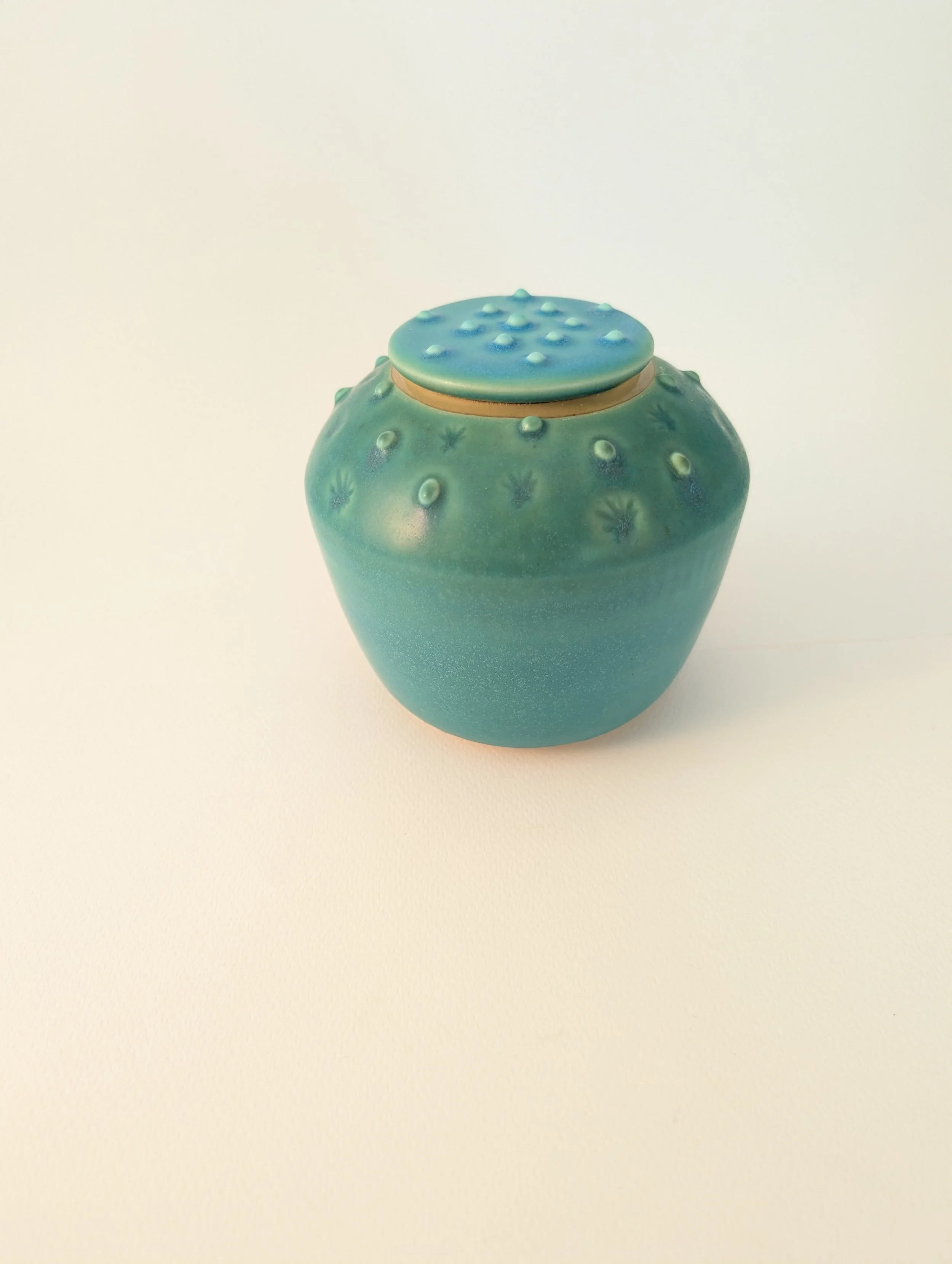processed_2f55395b82d14d6695a94086f8641d90.jpeg