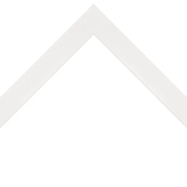 83704.jpg
