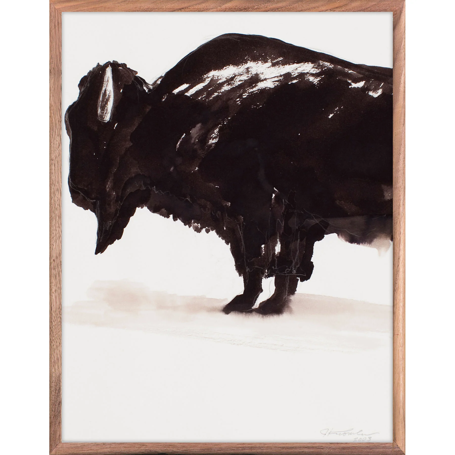 JK_bison_sq.jpg
