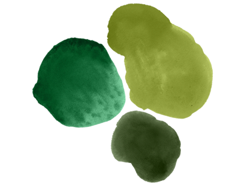 sbc_green.png