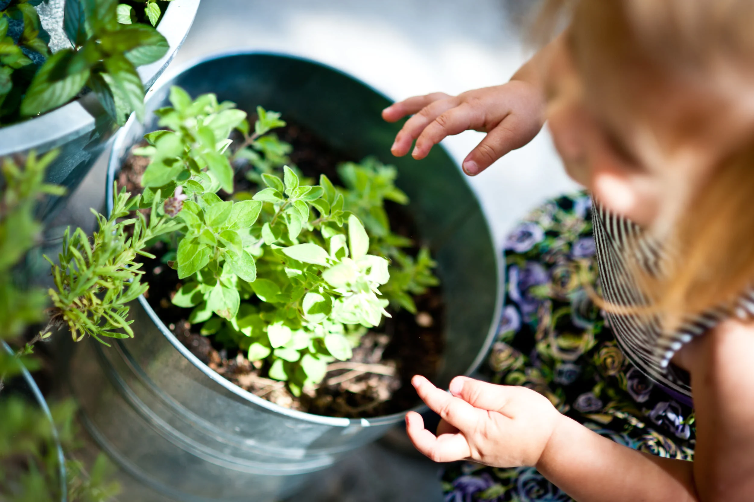 Little Sprouts Academy Top Childcare Centers in San Diego