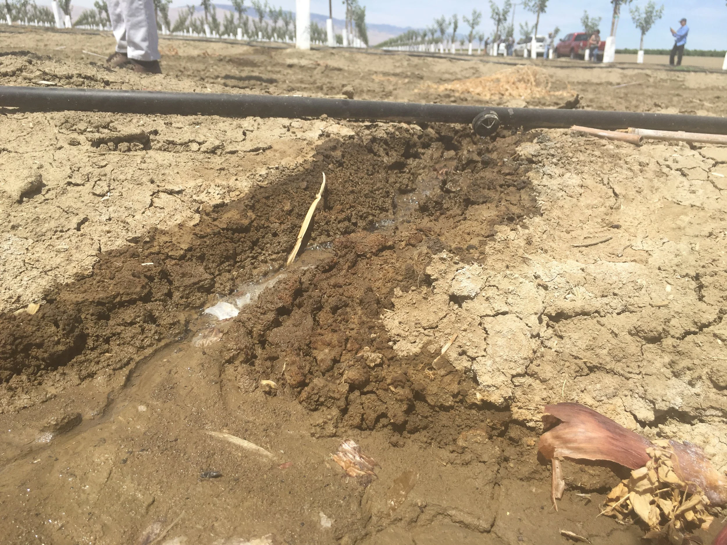 Irrigation Part 8: Irrigation System Design with Dan Munk