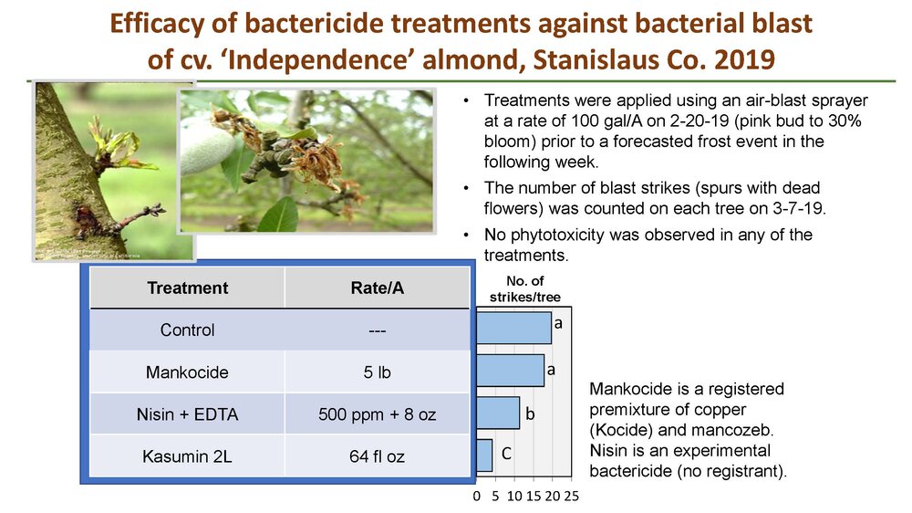 JEA- Bacterial blast and canker of almond 12-20 Podcast_Page_2.jpg