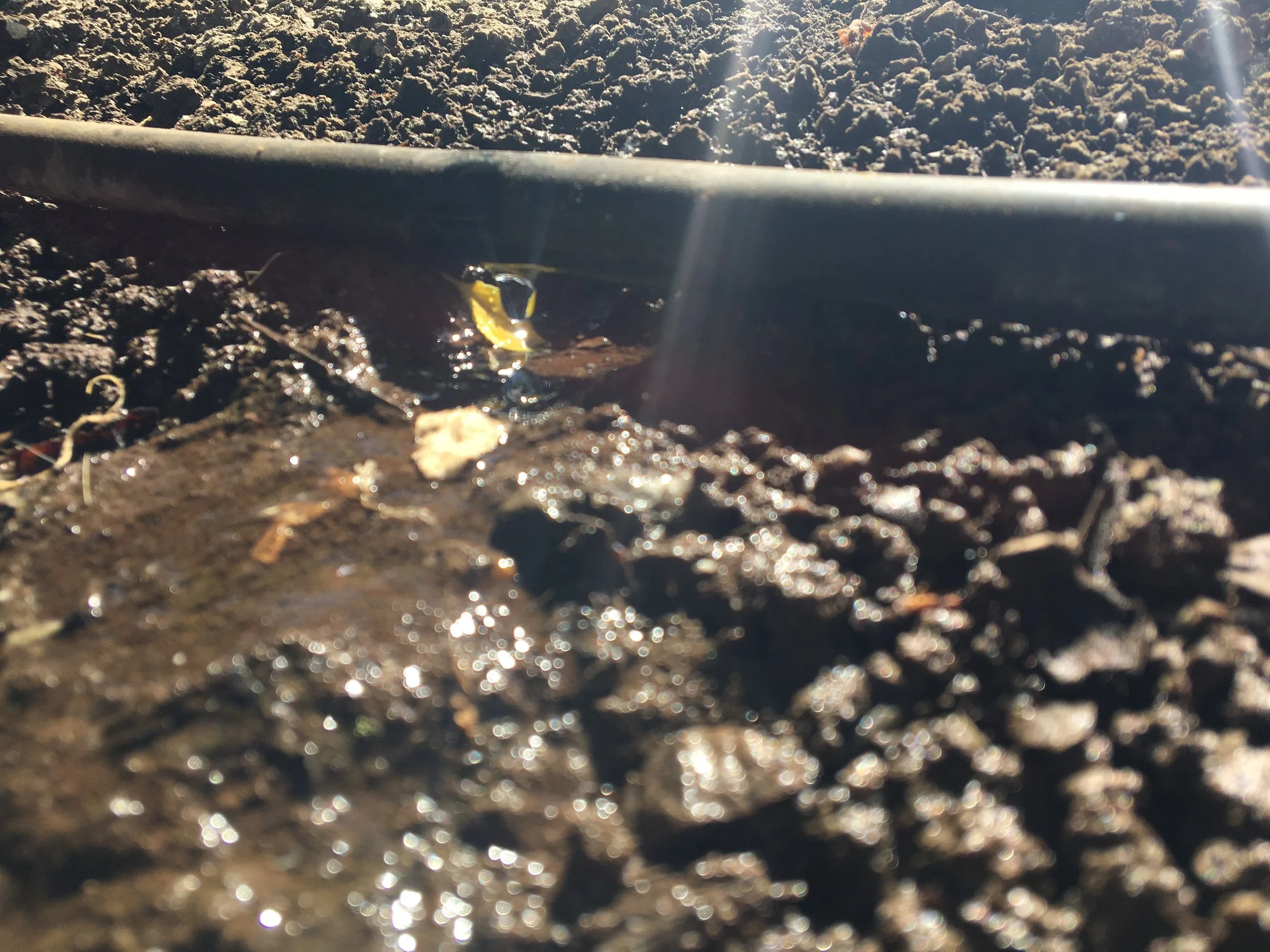 2023 water outlook with Sam Sandovol Solis