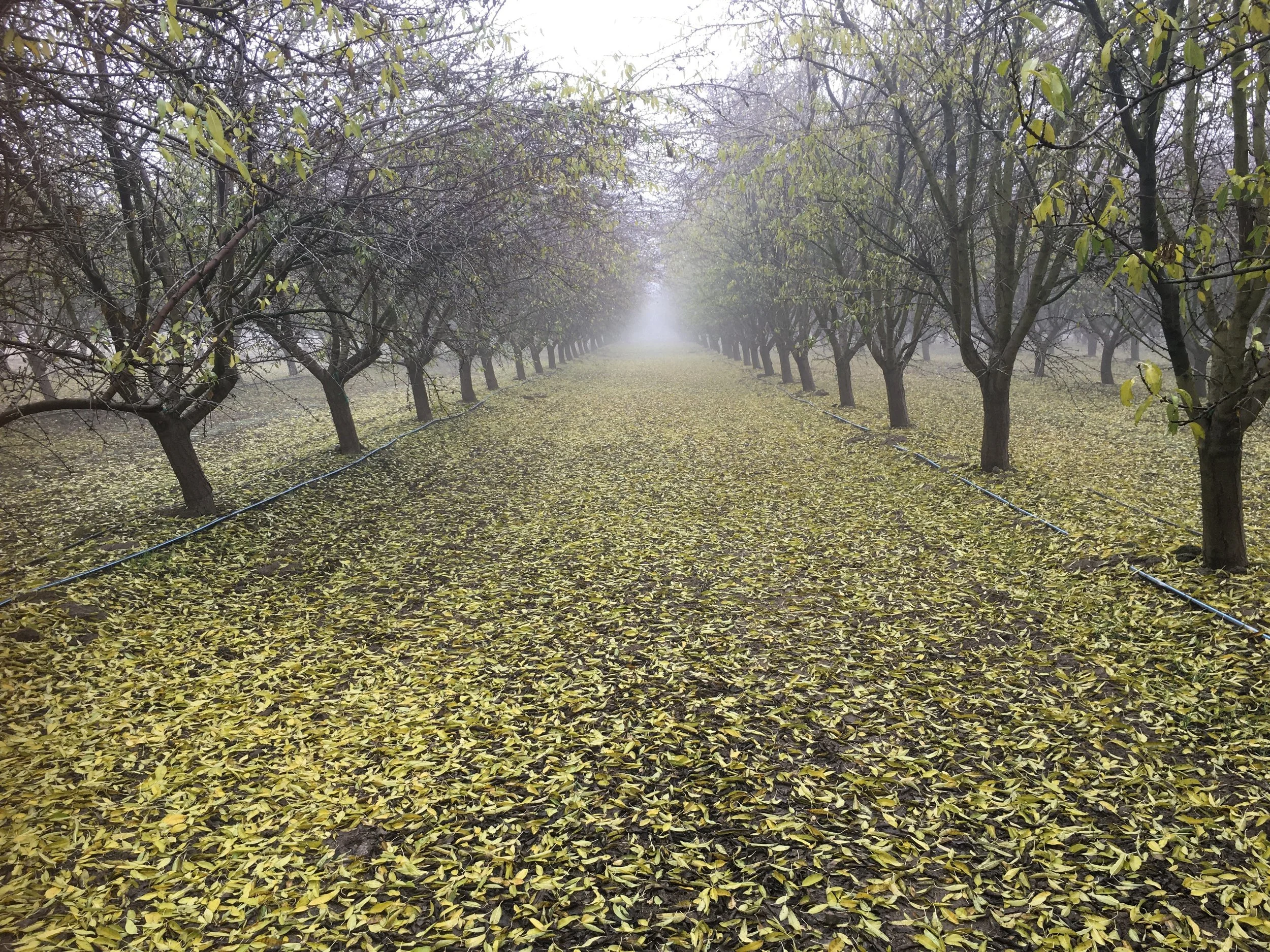 Water outlook episode