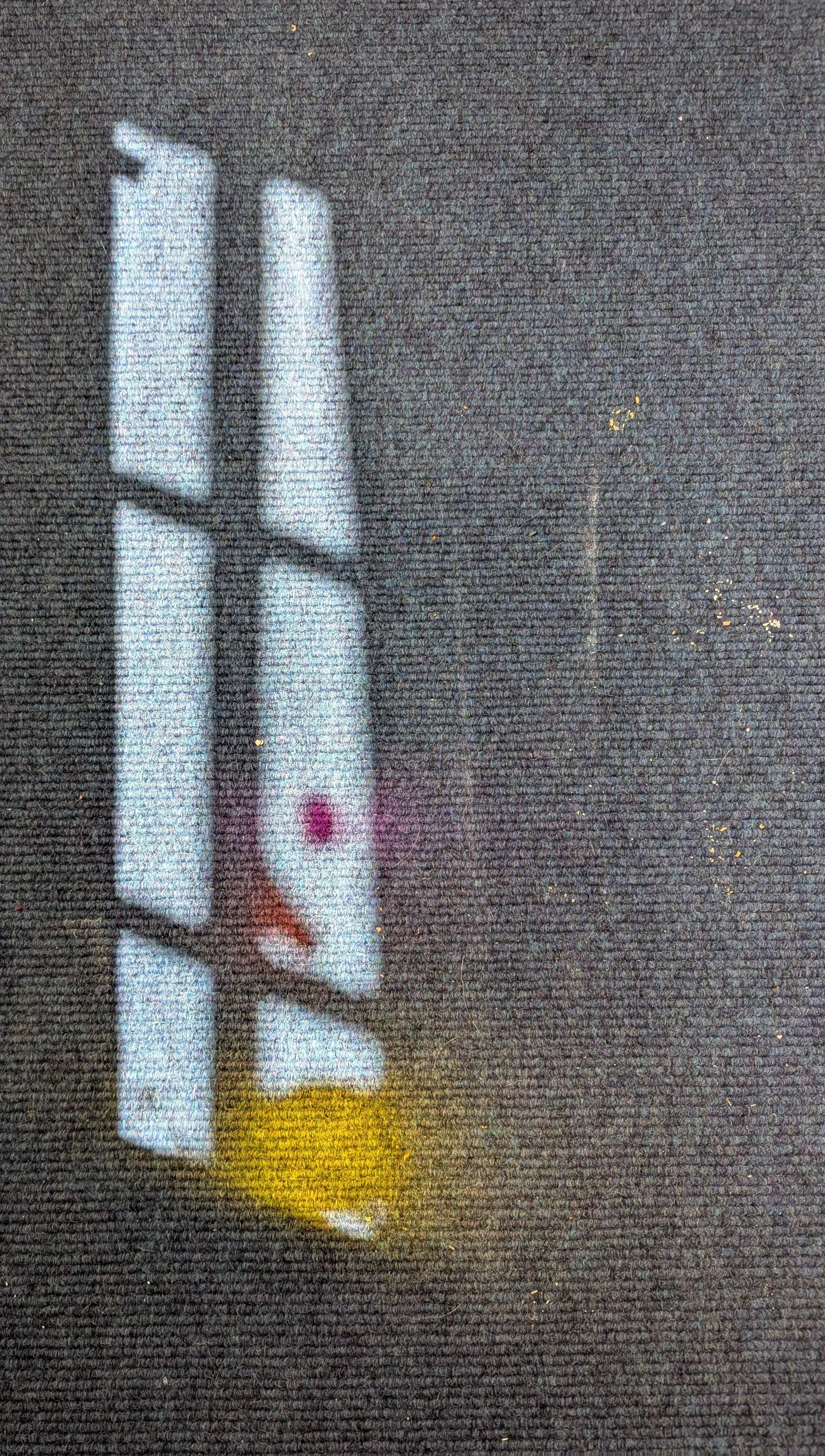 1000001273.jpg