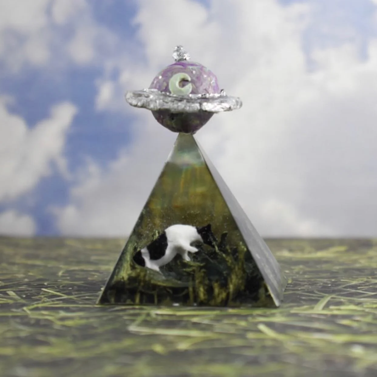 The Florecita Planetship 🛸 

#ovni #ufos #ovnis #mufon #ufofiles #ufology #roswell #ufologia #area51👽 #ufohunter #spaceship #spacecraft #ufocatcher #spaceships #unidentified #ufosighting #flyingobjects #ufosightings #flyingsaucer #phenomenon #flyin