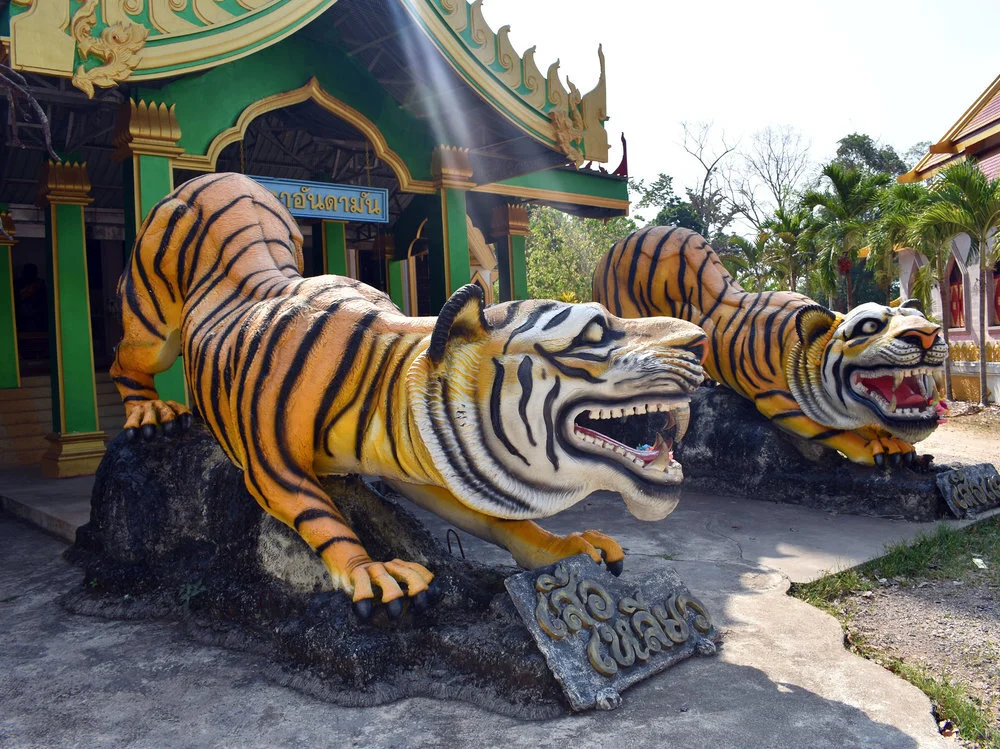 3_28+-++Tiger+Temple+Entrance_0450.jpg