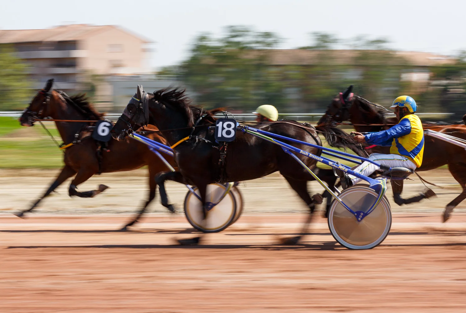 Astrology horse racing system