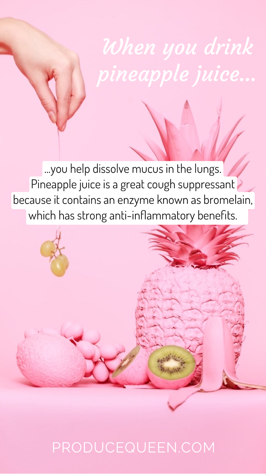 IMG_3513 2.png
