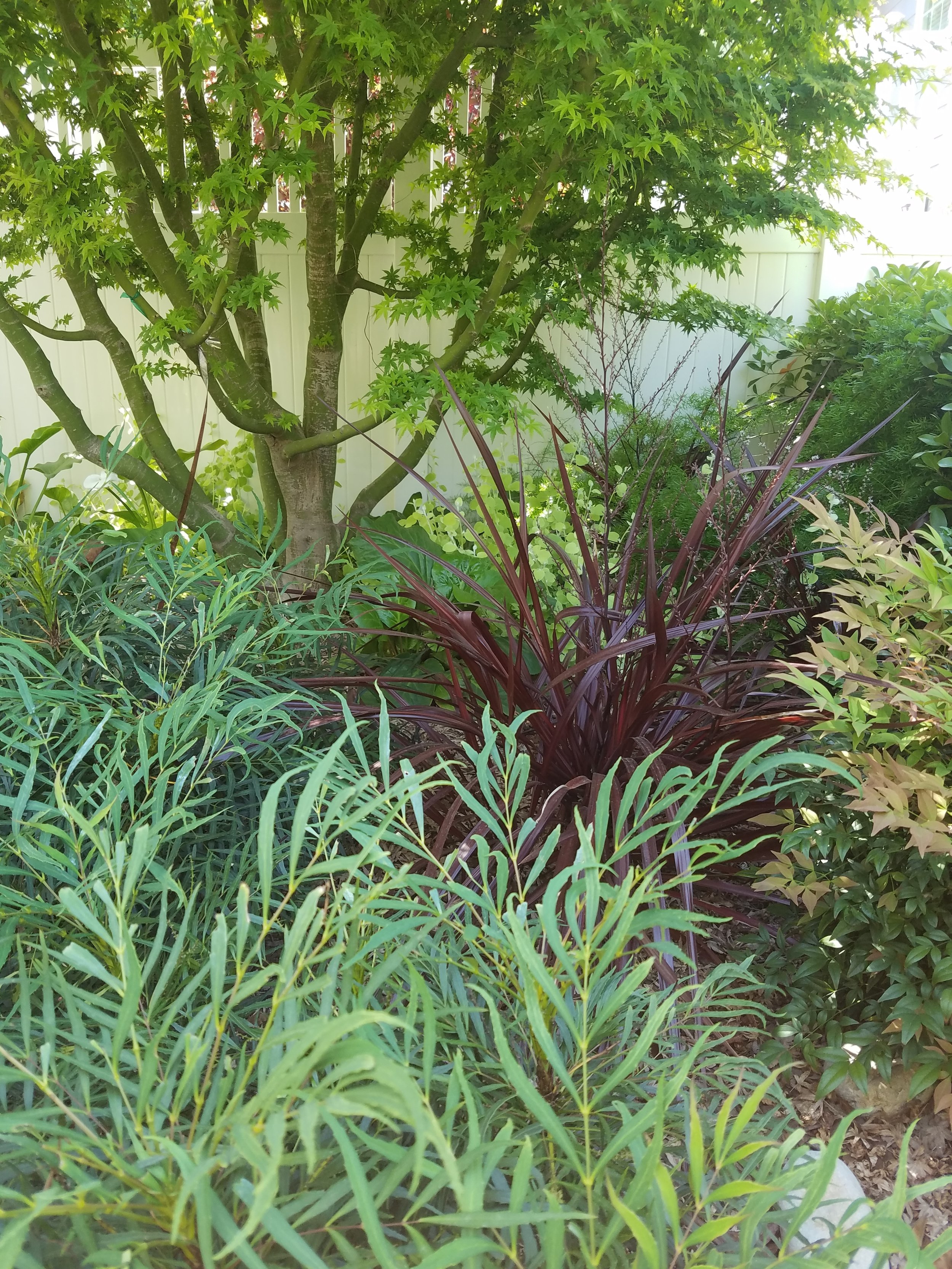20170421_134643.jpg