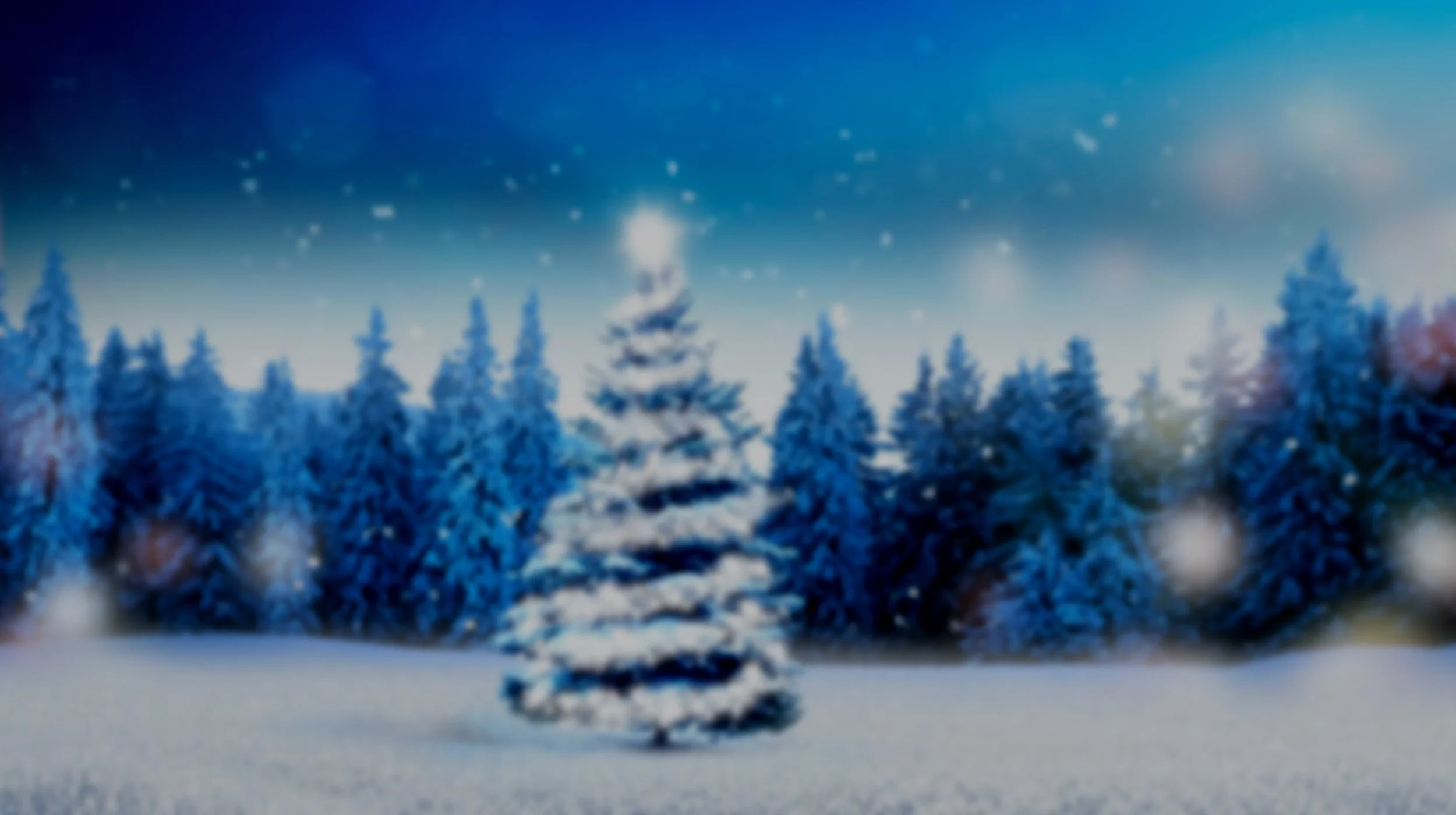 iStock-2175263254.jpg
