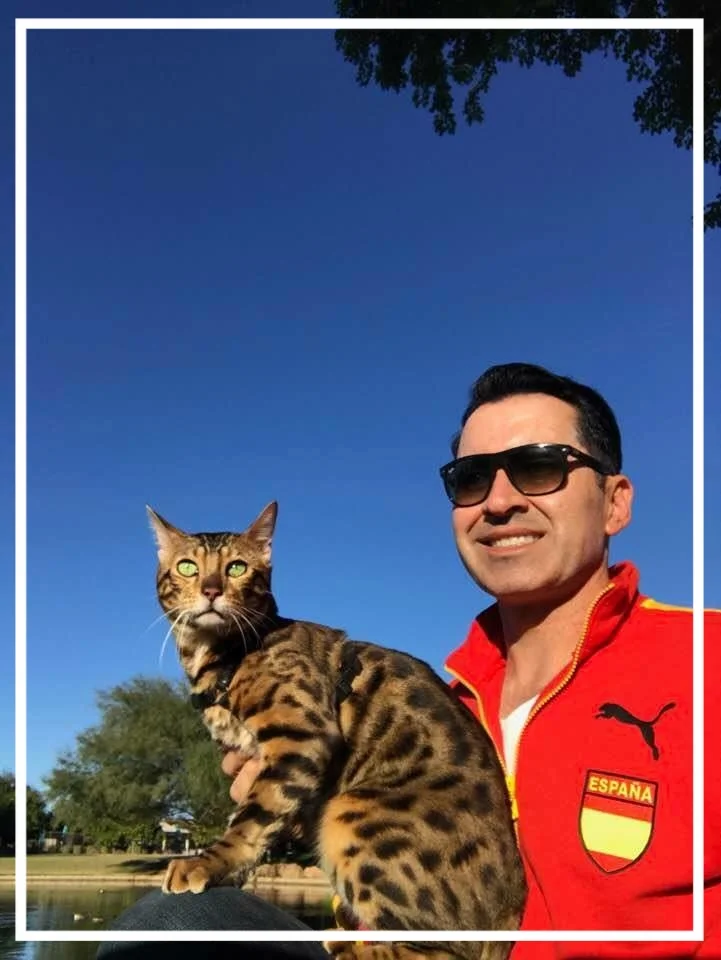 Arizona customer 2014