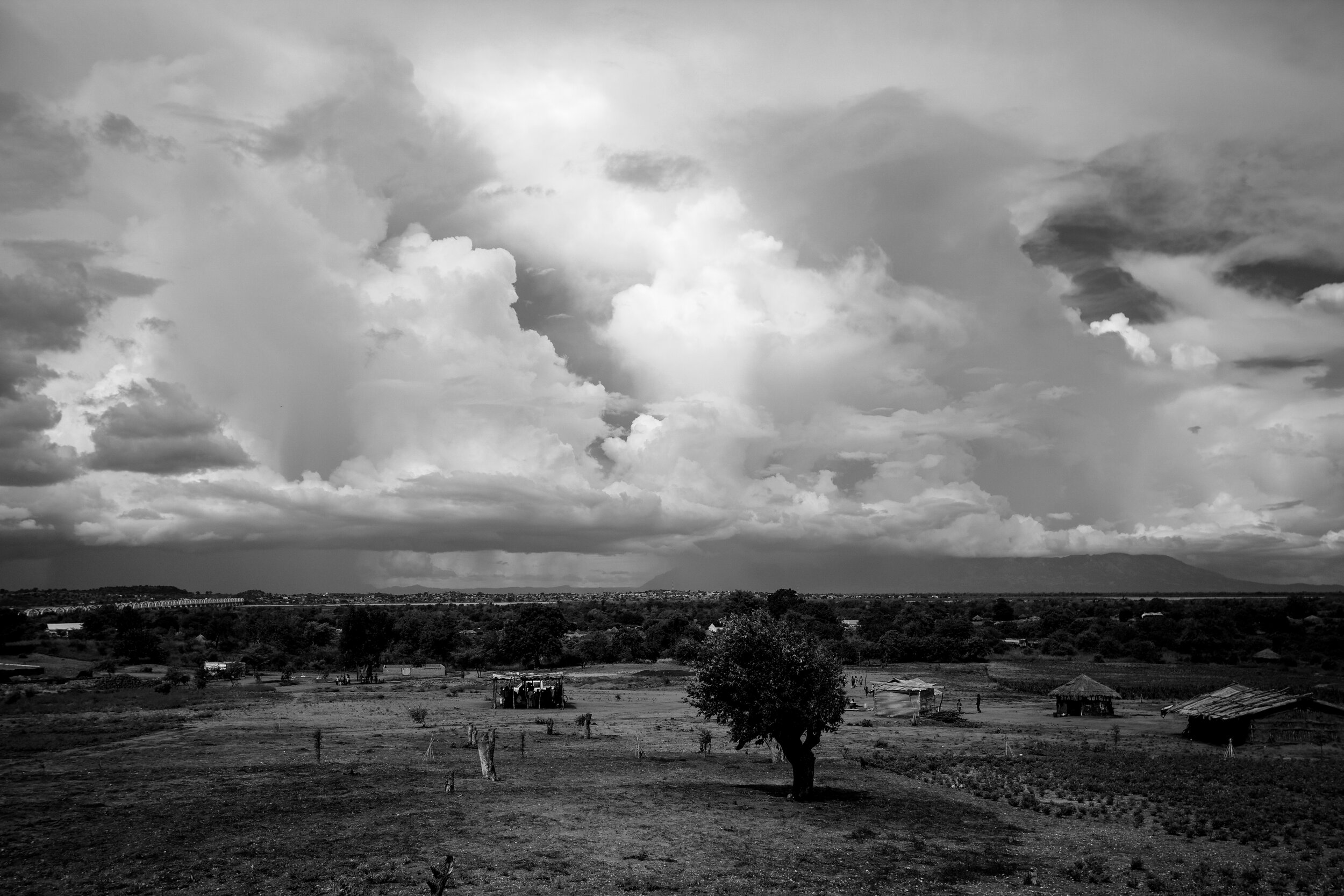  Zambezi River, Mozambique, 2011 