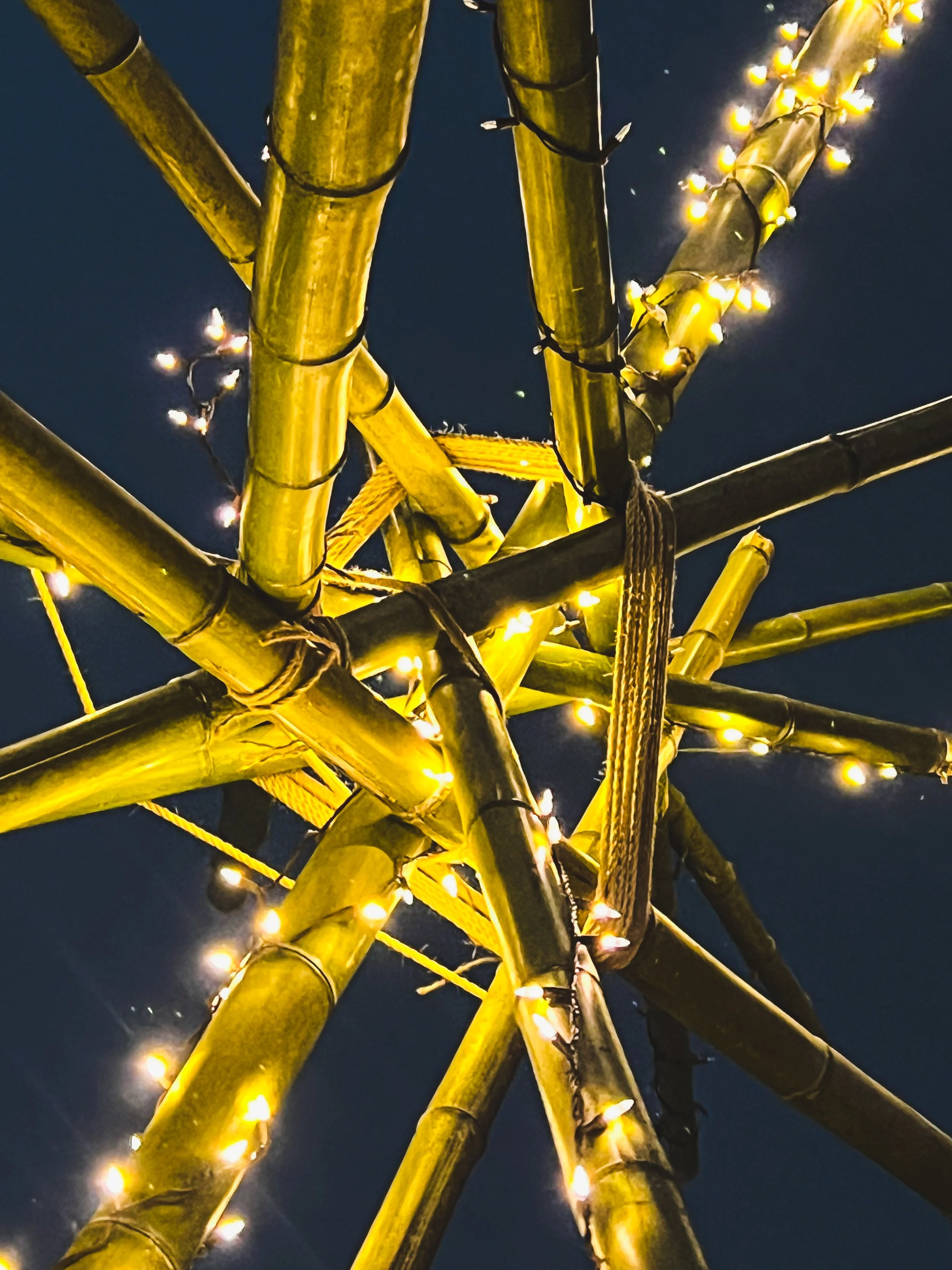 bamboo together 1 night.jpg