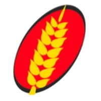 logo-ear-2-transparent.png
