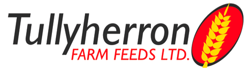 logo-2-transparent.png
