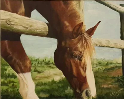 2014_COLORES FUEGUINOS.jpg