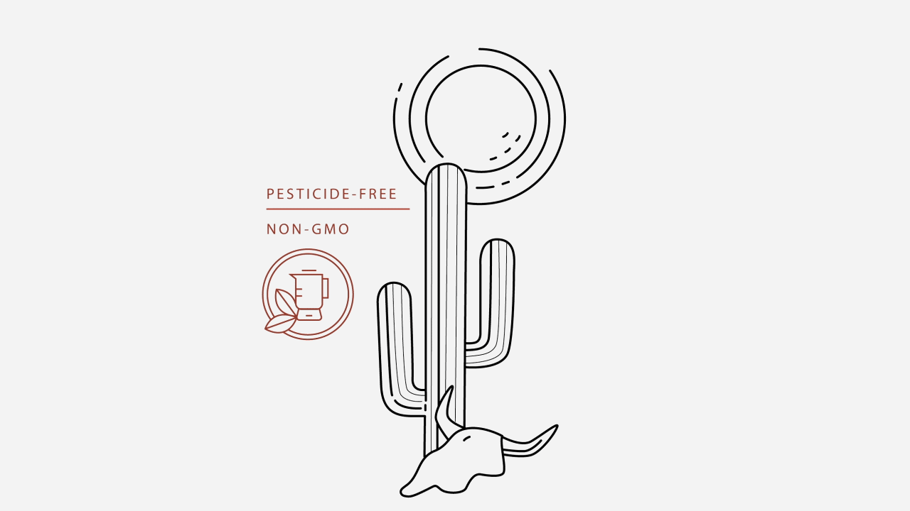 illustration.gif