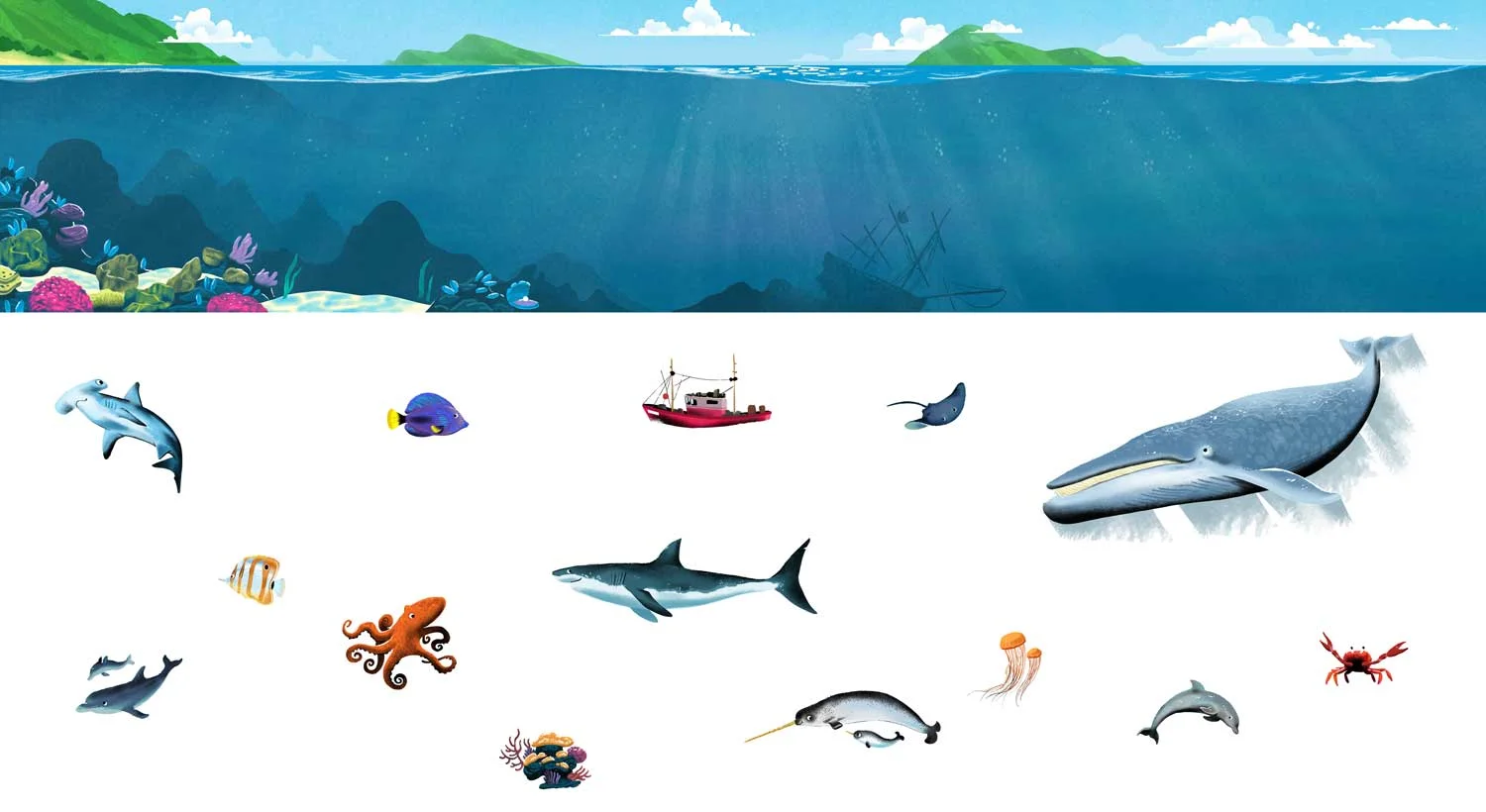 Finalized art for Ocean Animals