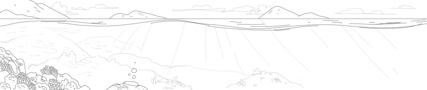 sketch-bg.jpg