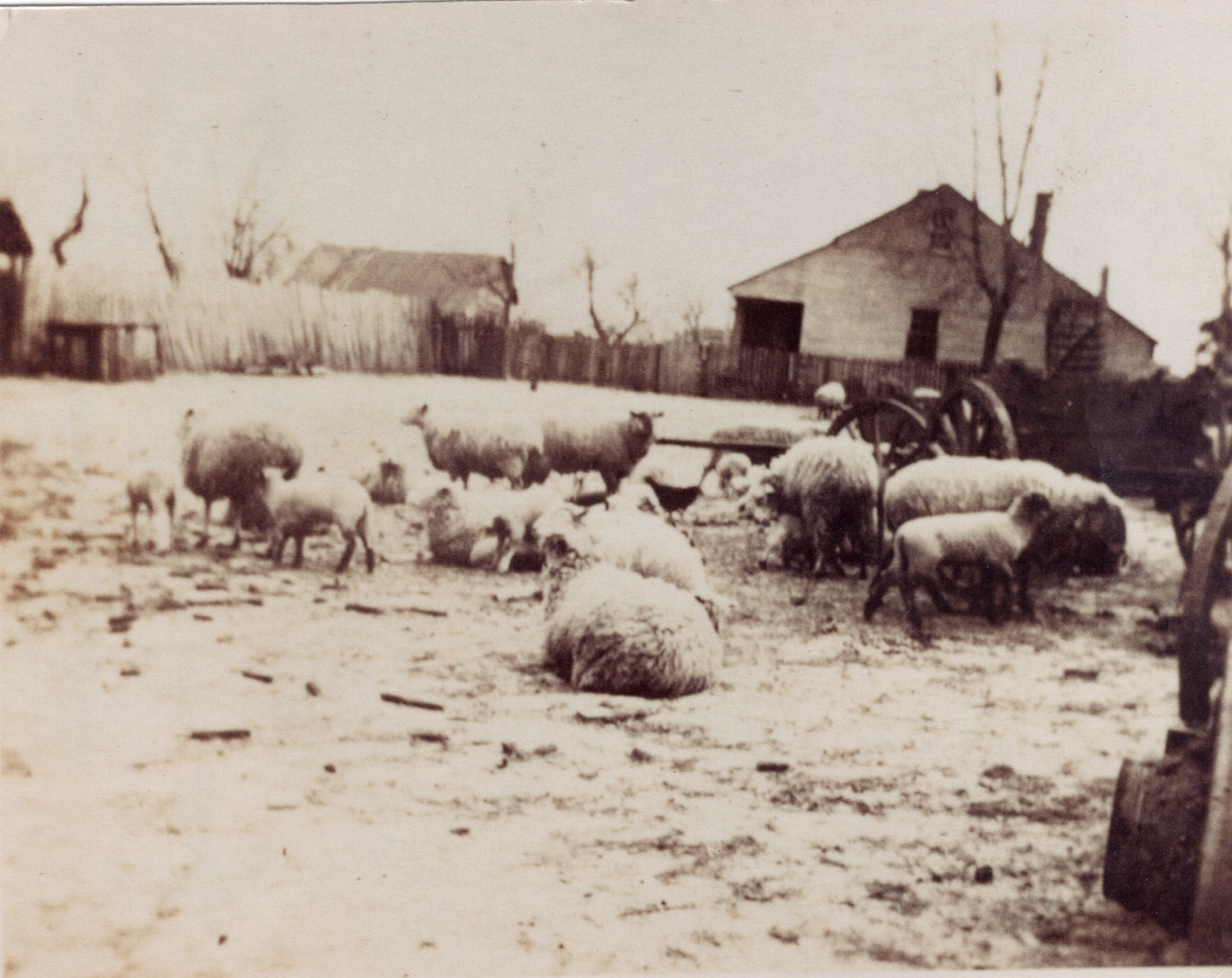 family farm with old log home.jpg