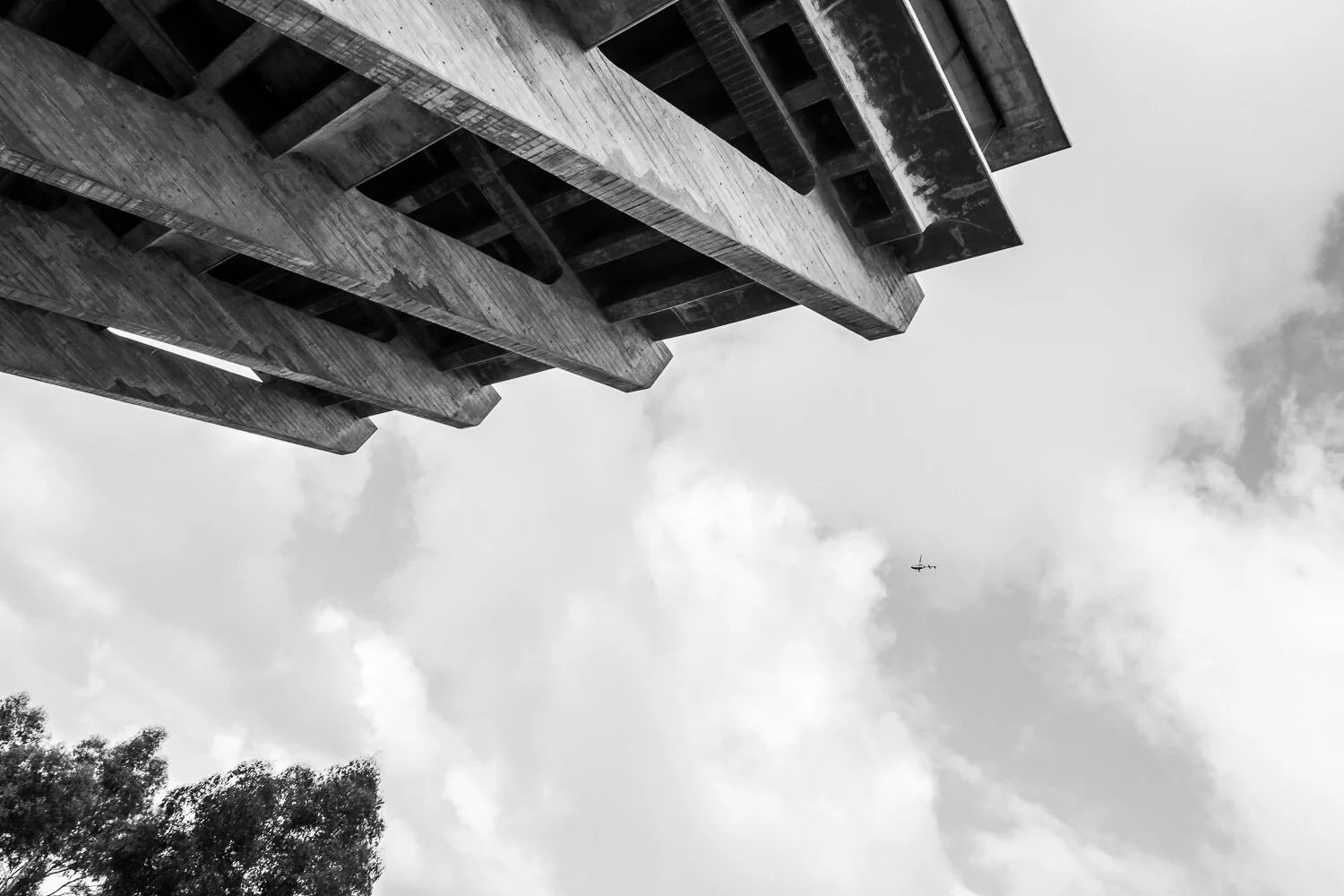 library_edge copy.JPG