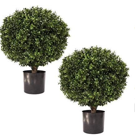  Faux Boxwoods