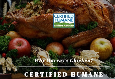 murray's chicken