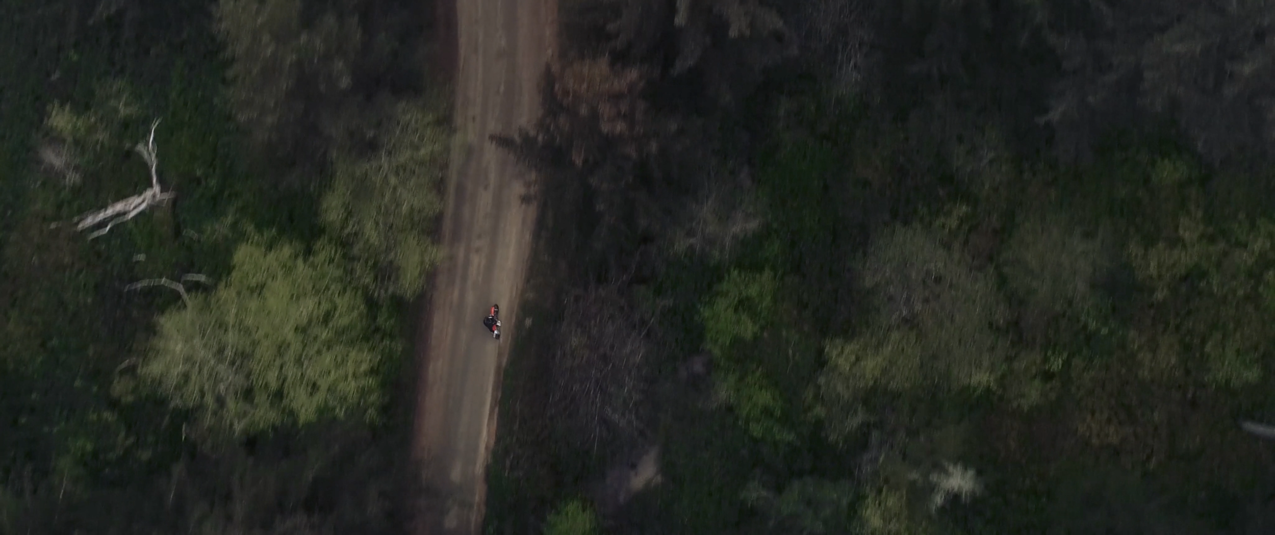 Screen Shot 2021-01-23 at 4.47.42 PM.png