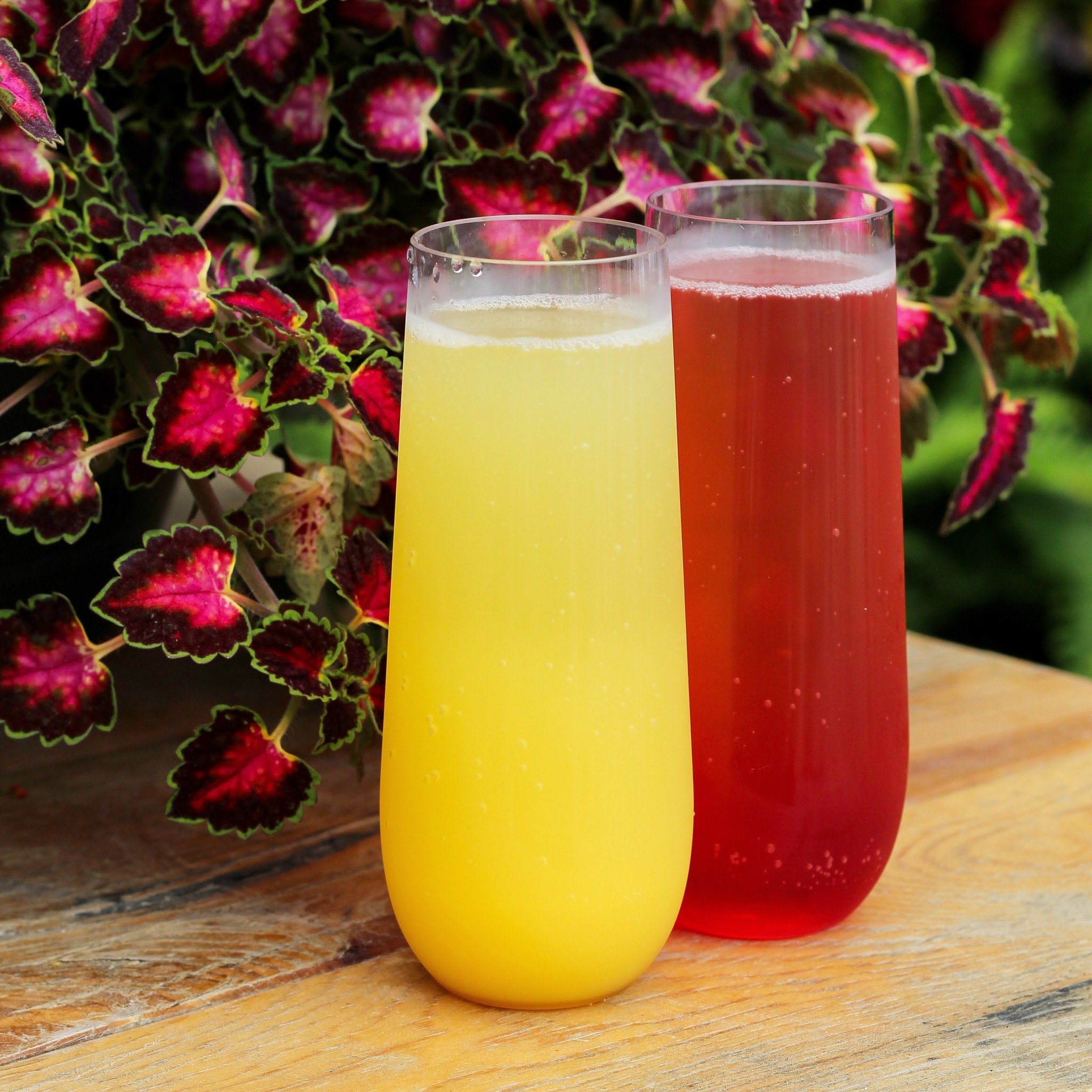 Moms get a FREE mimosa THIS Saturday 🥂

We&rsquo;re excited to celebrate with you from 9-4 and enjoy some perfect weather in the garden ☀️🌱🌸

#mimosas #momsandmimosas #momsandmimosasevent #garden #flowers #event #shoplocal #m37 #mercantile37