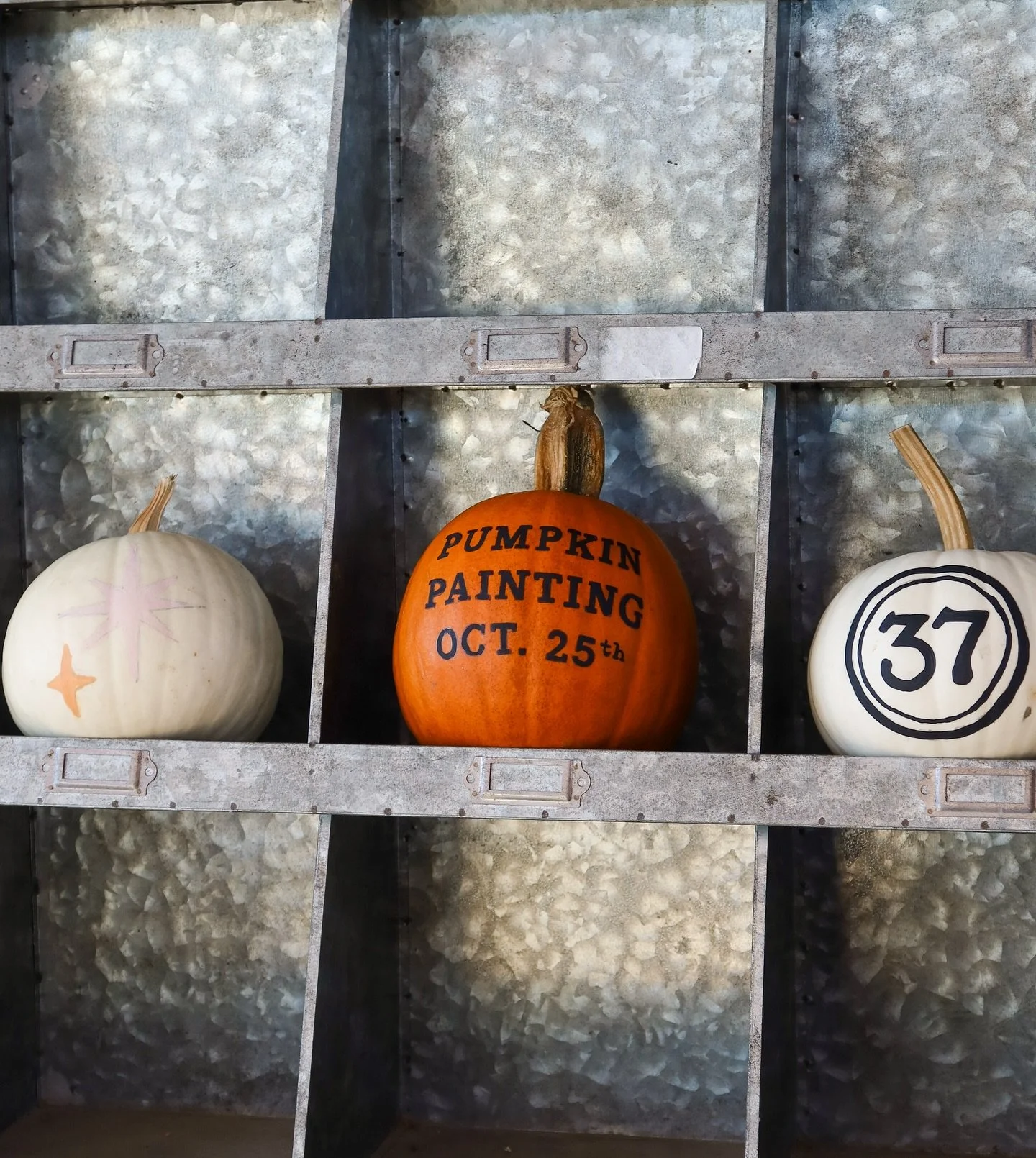 PUMPKIN PAINTING 🎃 🎨
October 25th | 9-2

Fall Family Fun at Mercantile!
Join us Saturday, October 25th and paint a pumpkin! 
Kiddos receive a free pumpkin to paint in our garden center along with a free handmade rice krispie treat from Wheeler&rsqu