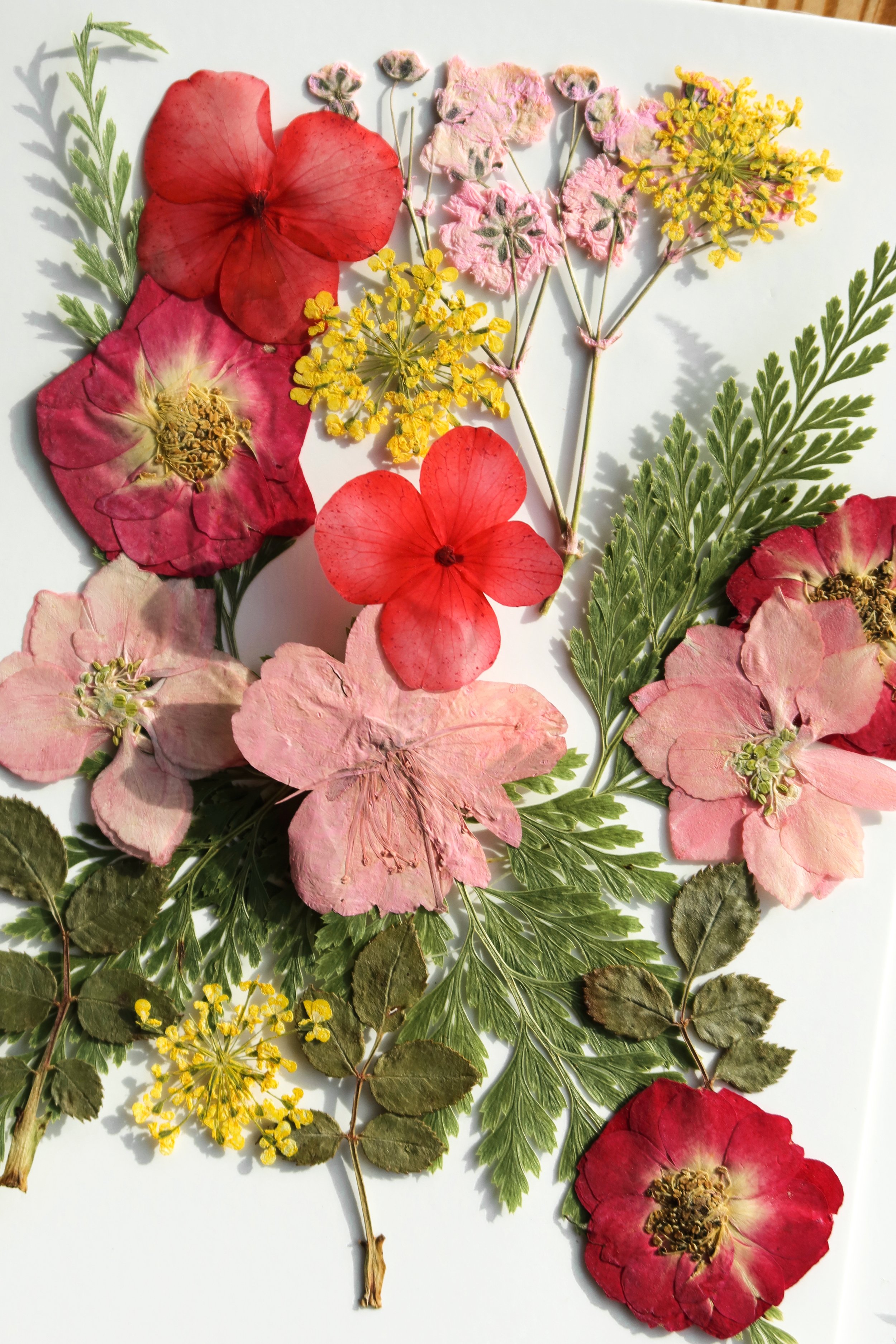 February Maker Workshop with Studio 91